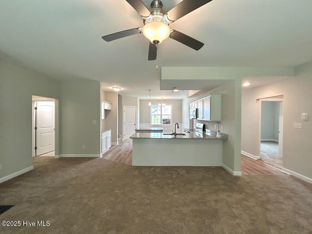 100513411 | Photo 18