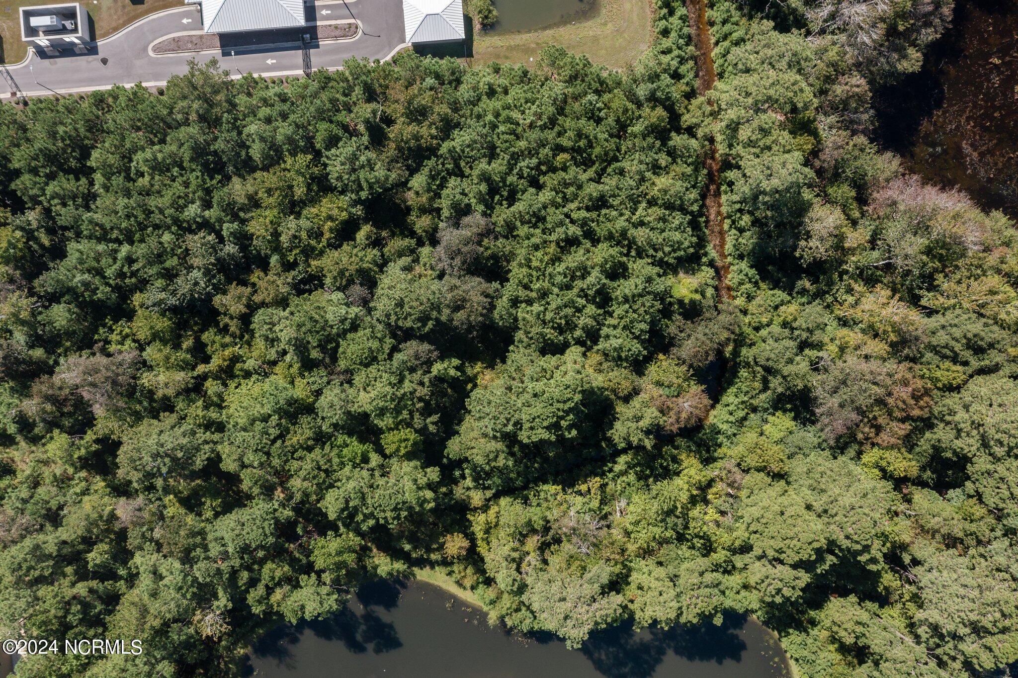 100467207 | Photo 18