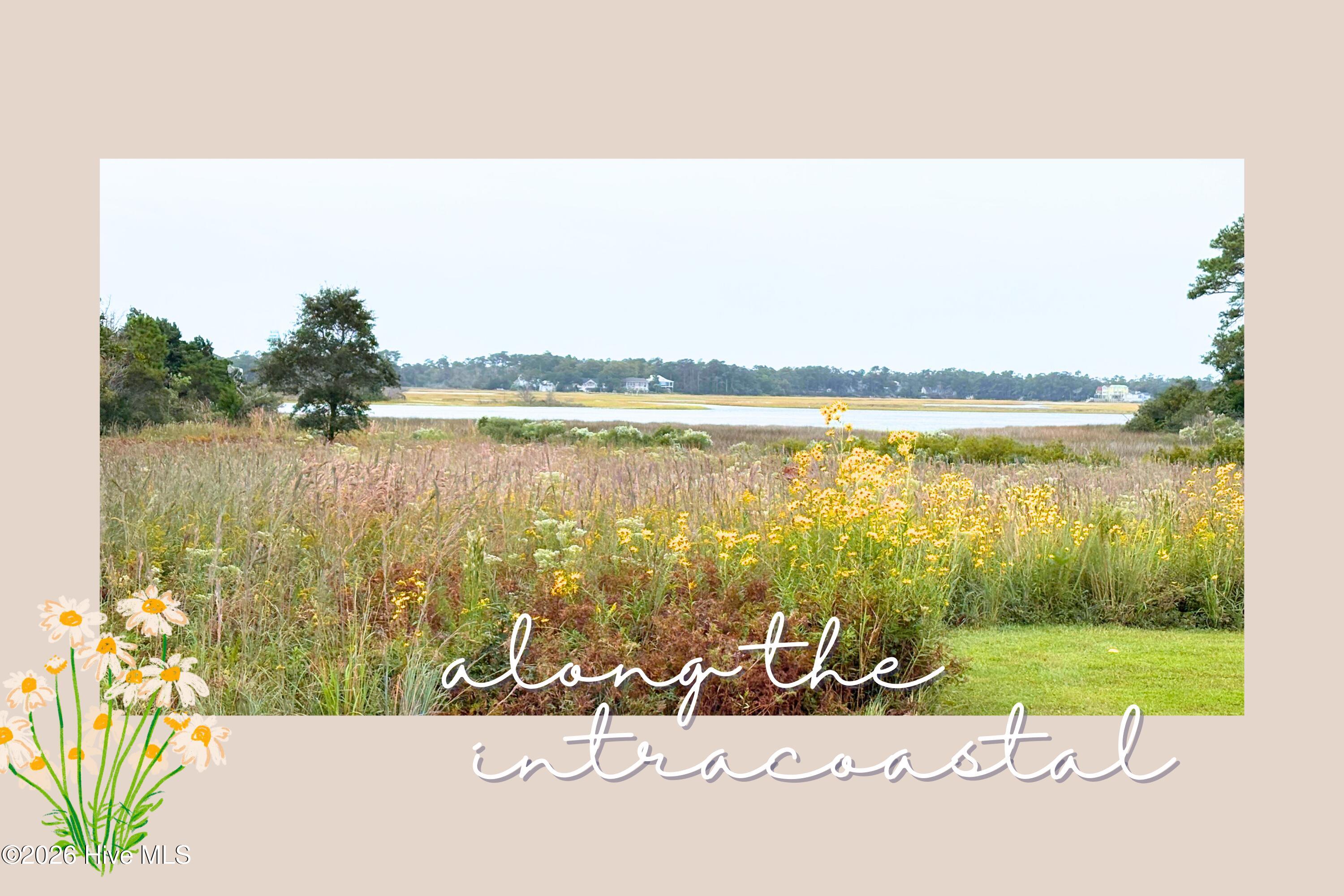 100553393 | Photo 47