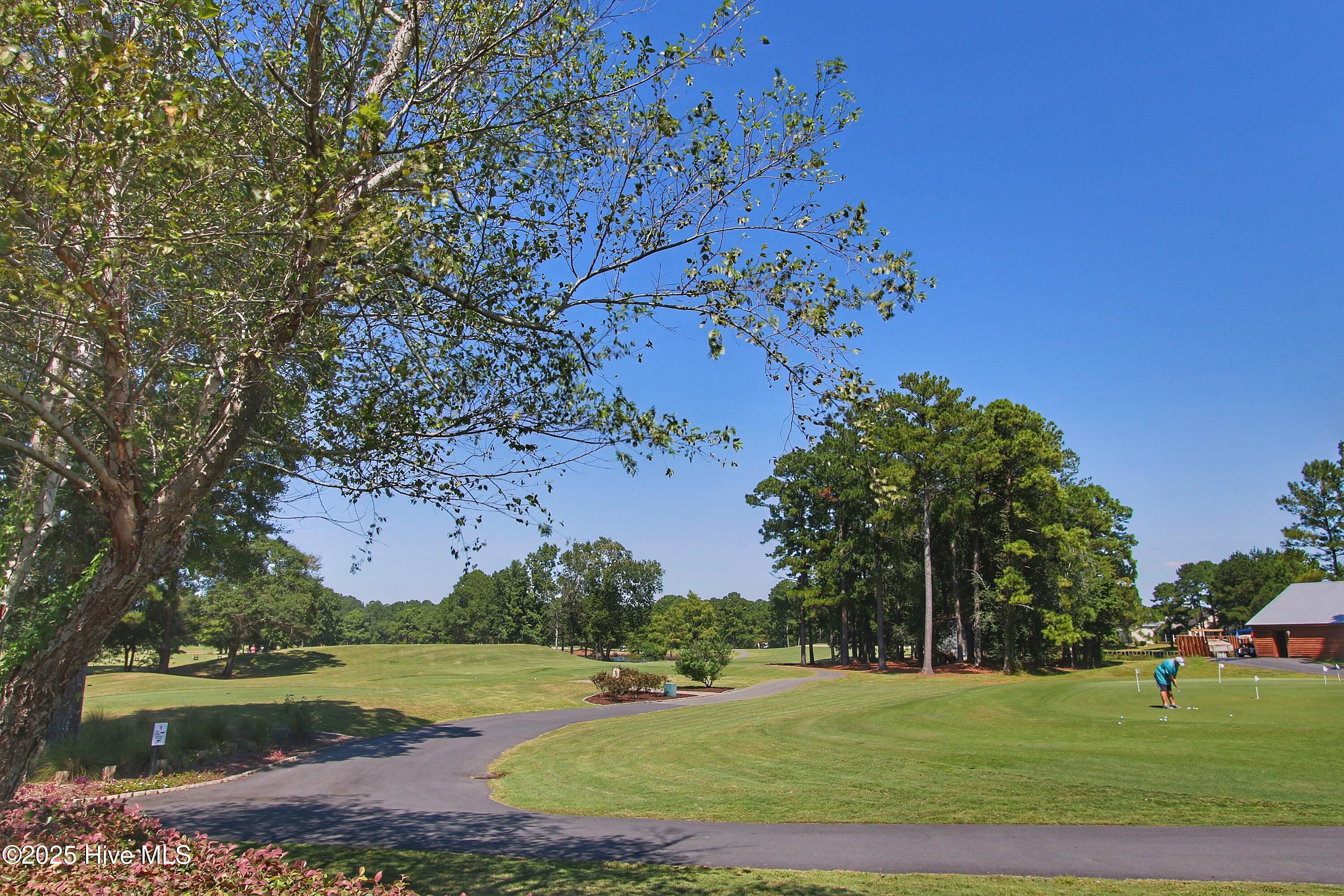 100525378 | Photo 60