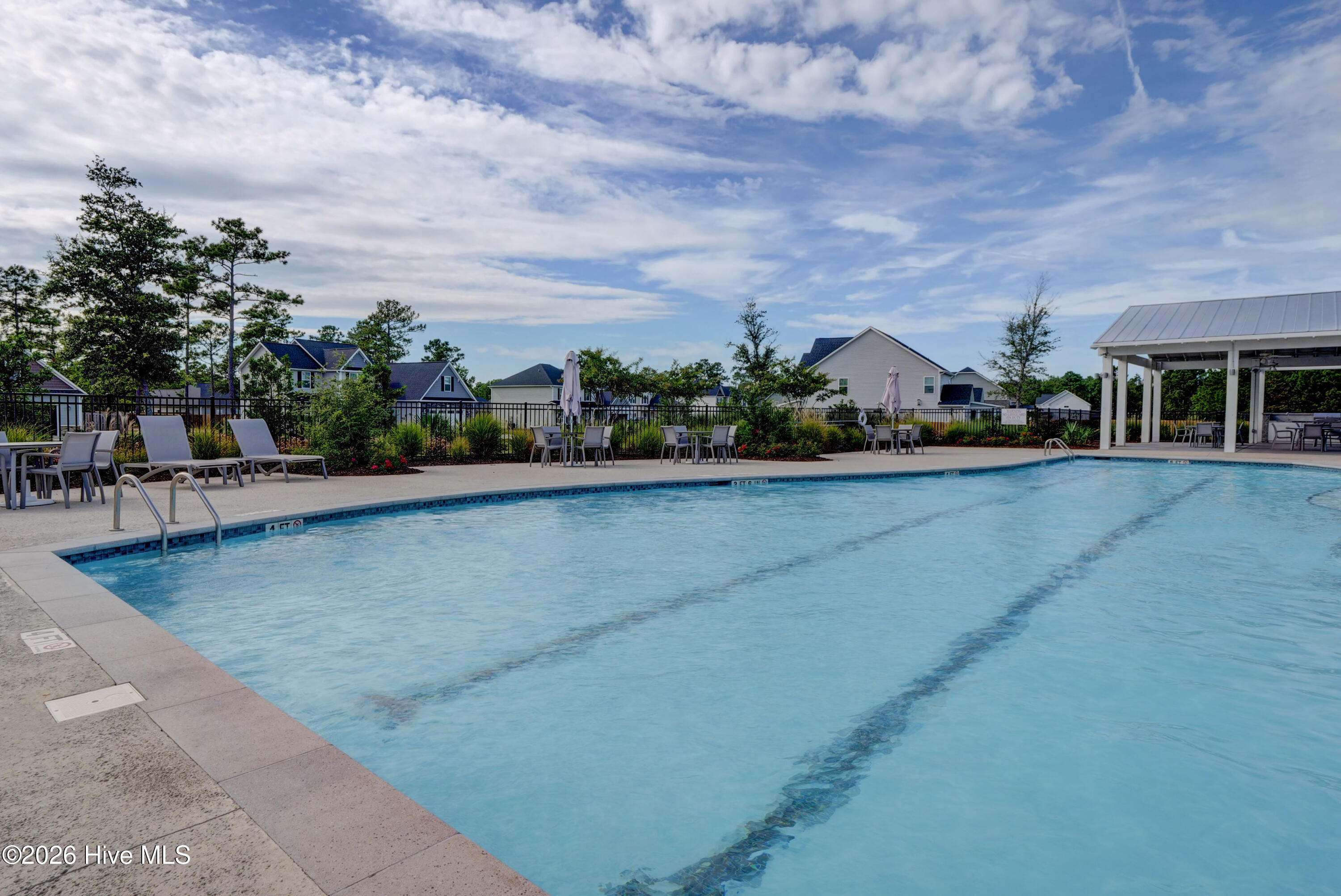 100554591 | Photo 45