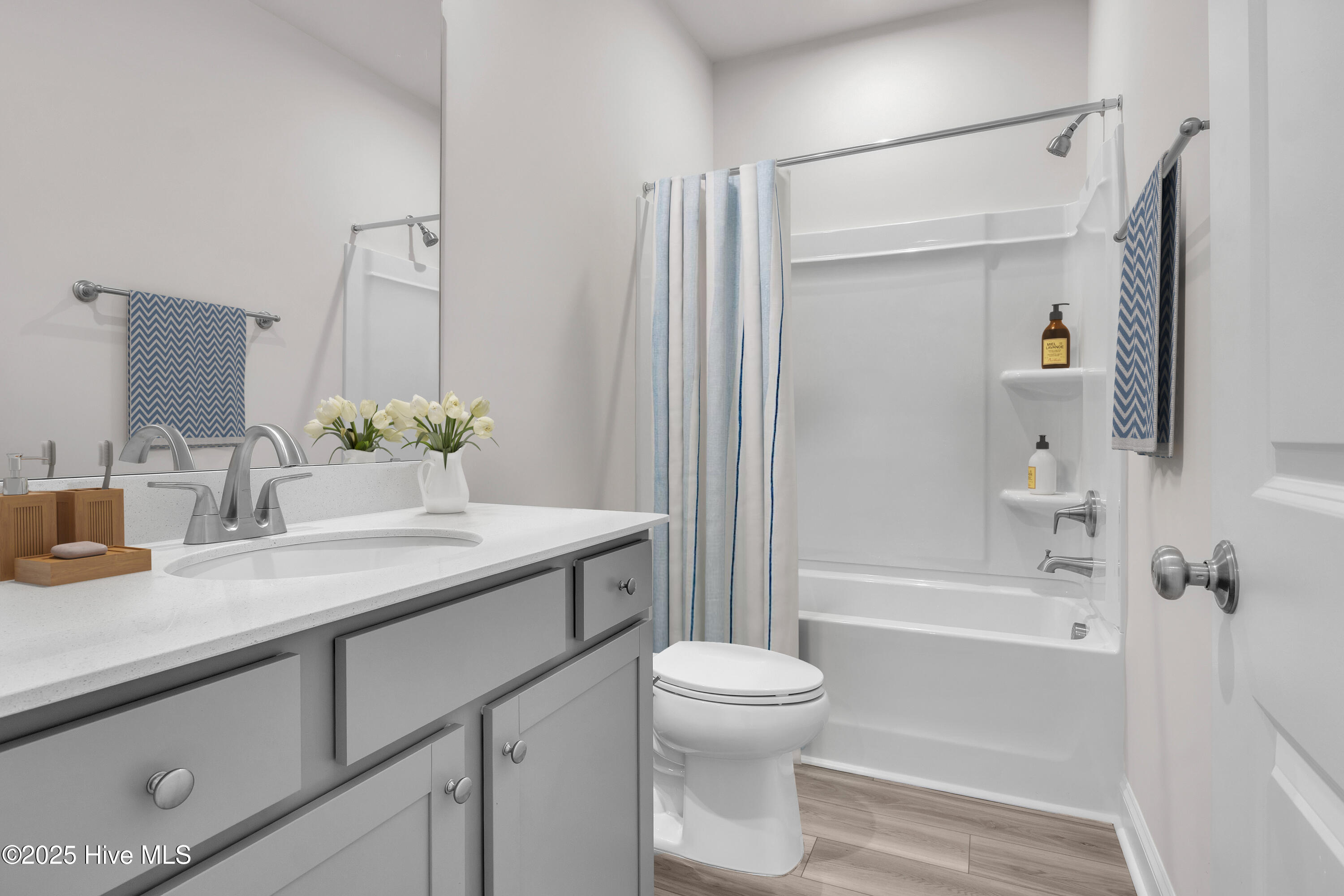6231 Raystone Way, Leland, NC 28451 – photo 6: Hall Bathroom