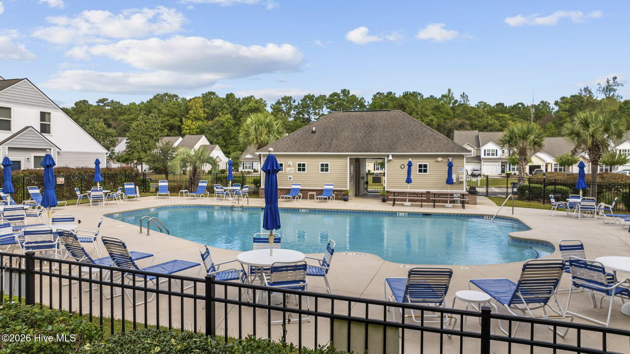 100553227 | Photo 28