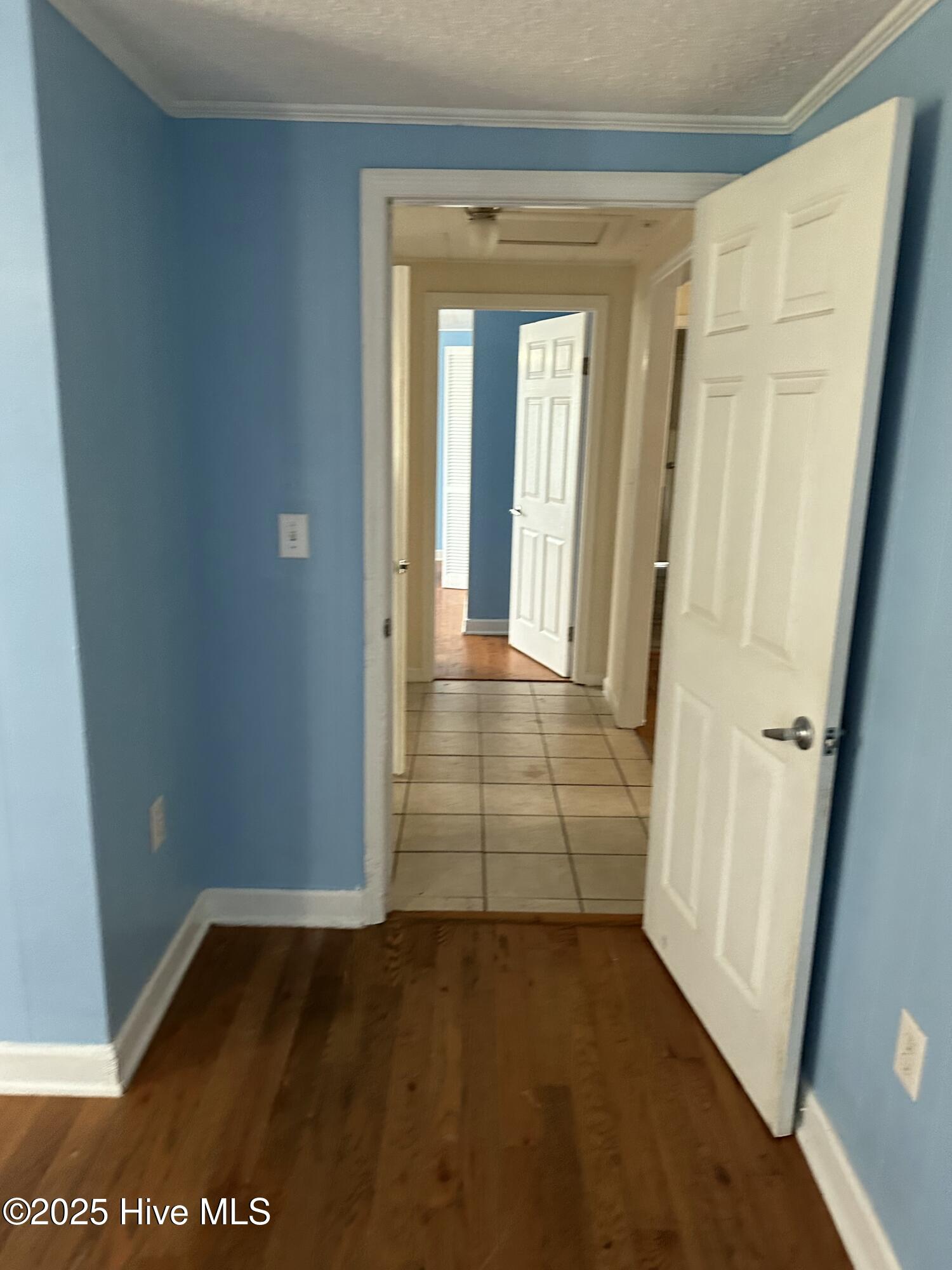 100513996 | Photo 28