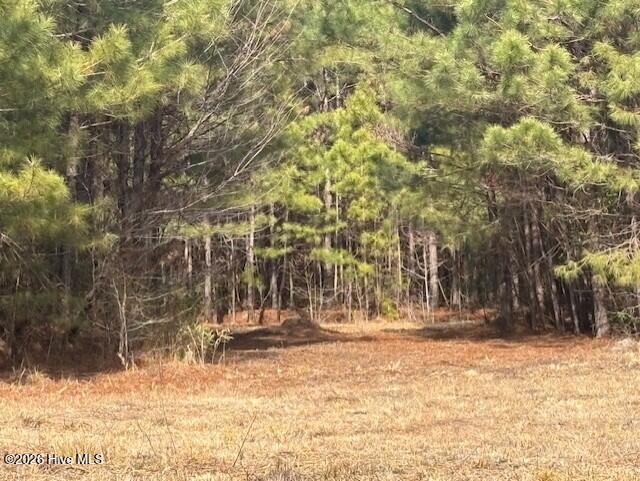 Homes for sale in Pollocksville, NC | 10 Acres Scott Road, Pollocksville, NC 28573 | MLS# 100556620