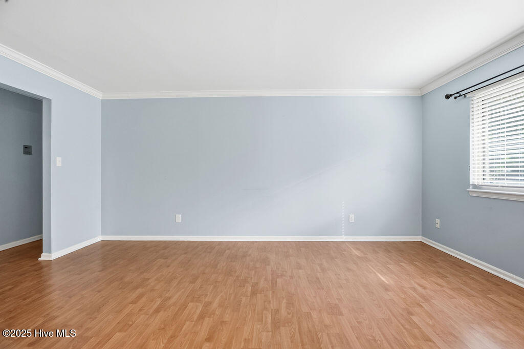 100538404 | Photo 10