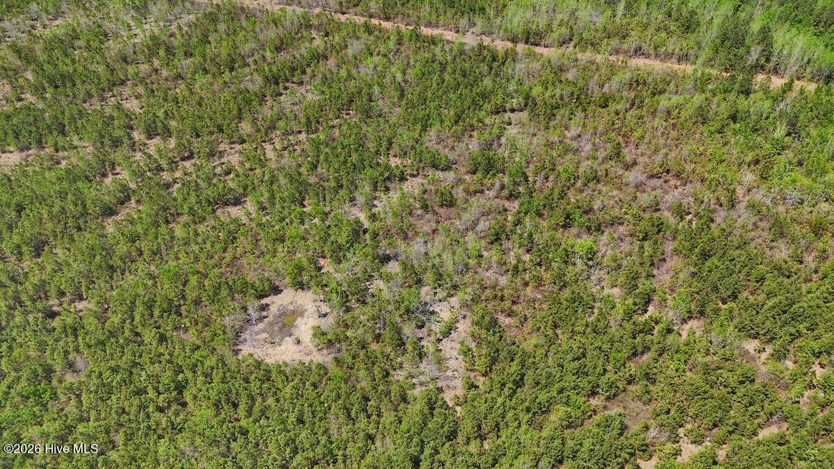 0 Guinea Mill Road, Ernul, NC, 28527