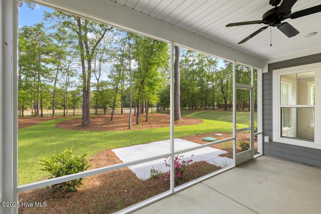 100535859 | Photo 41