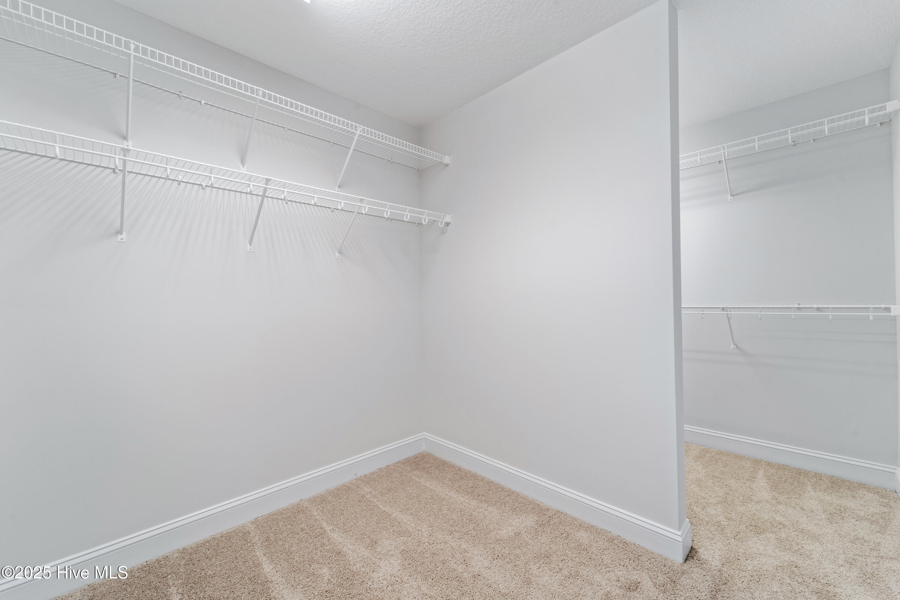 100502938 | Photo 21