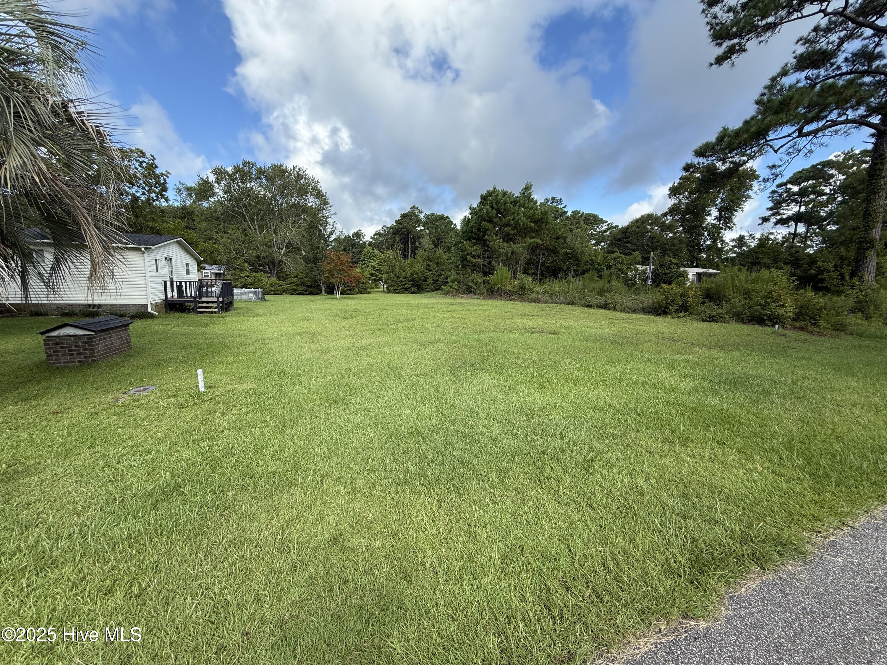 100490317 | Photo 19