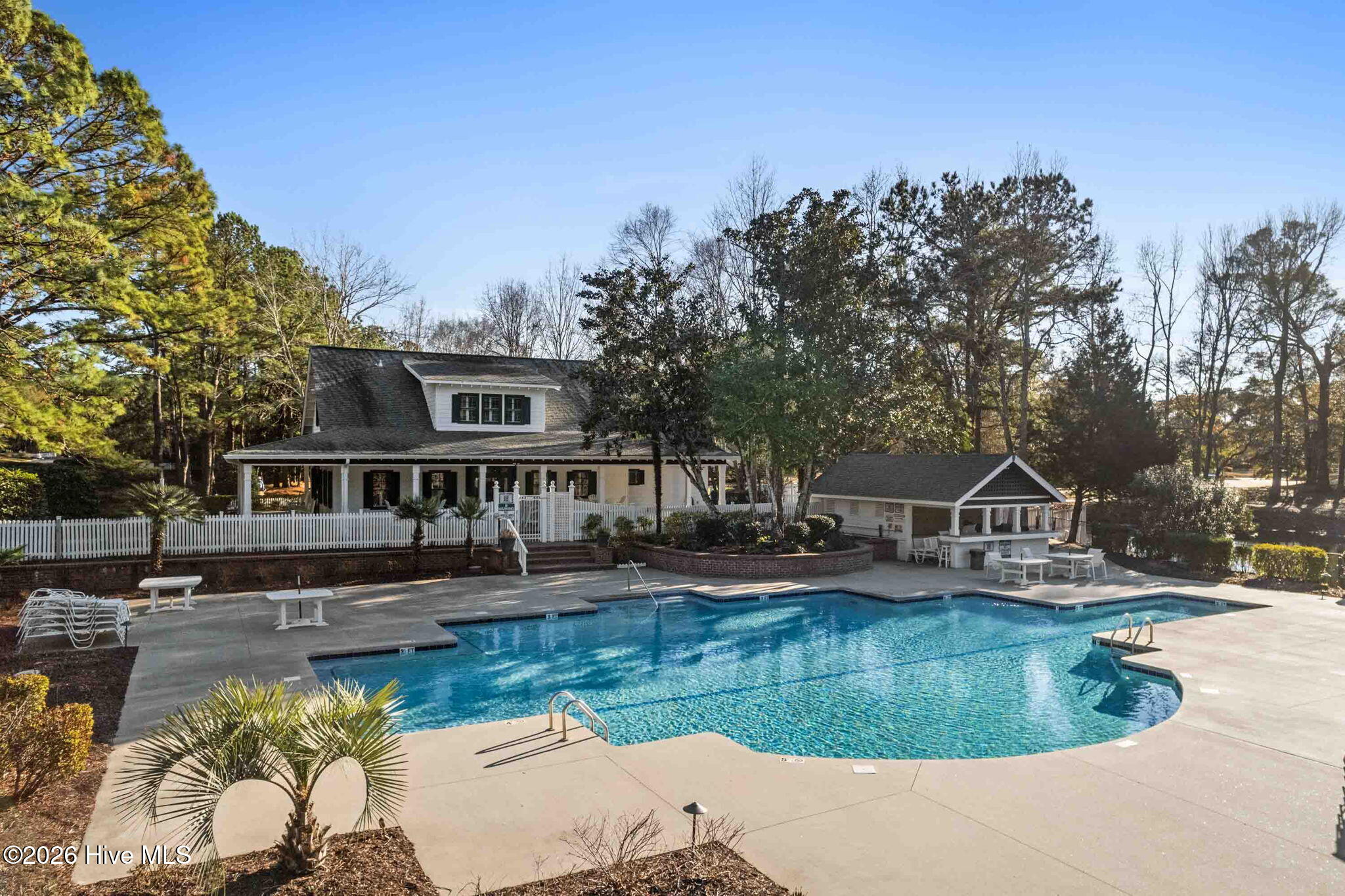 100546436 | Photo 65