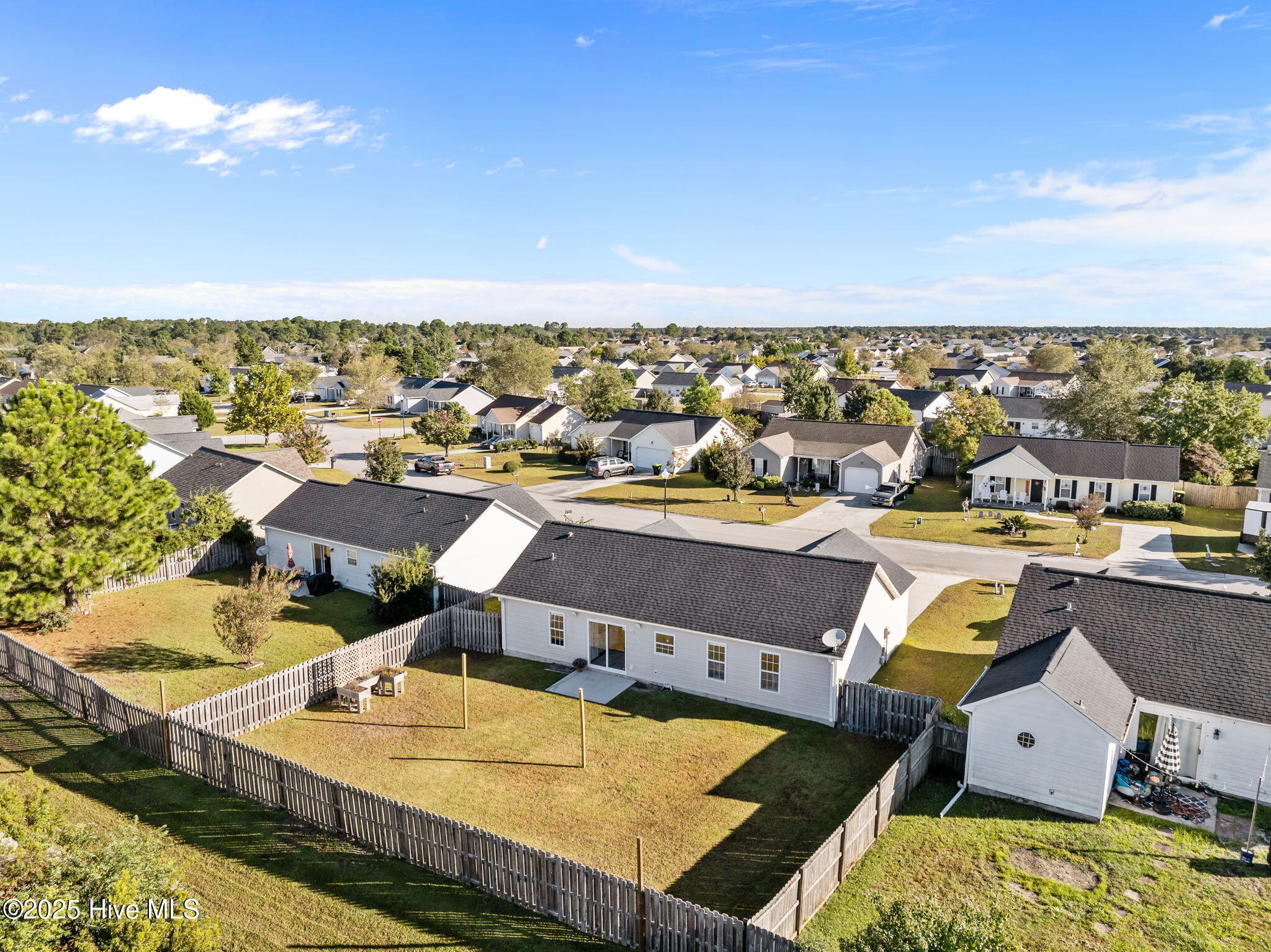 100537521 | Photo 40