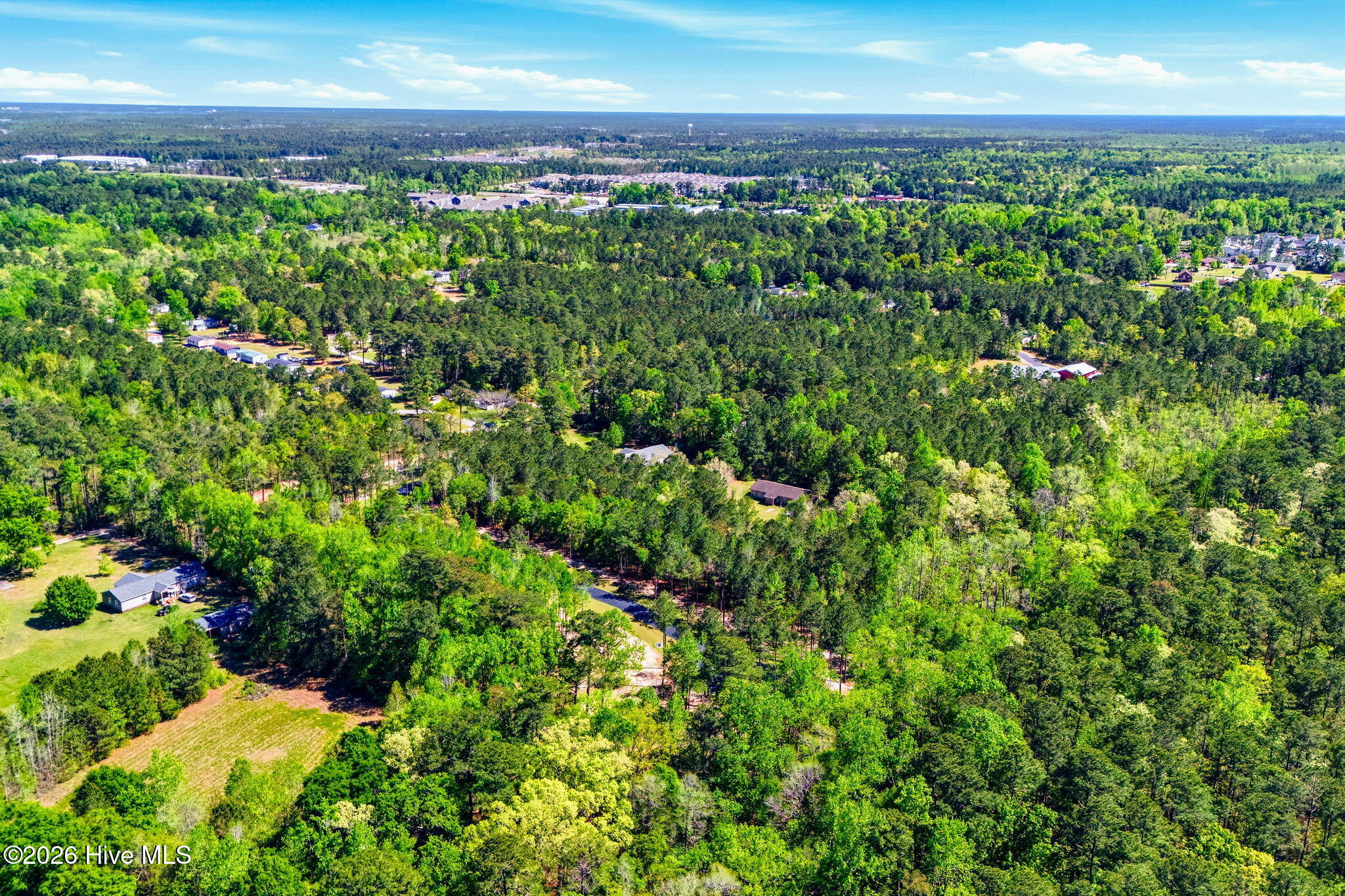 100566545 | Photo 11