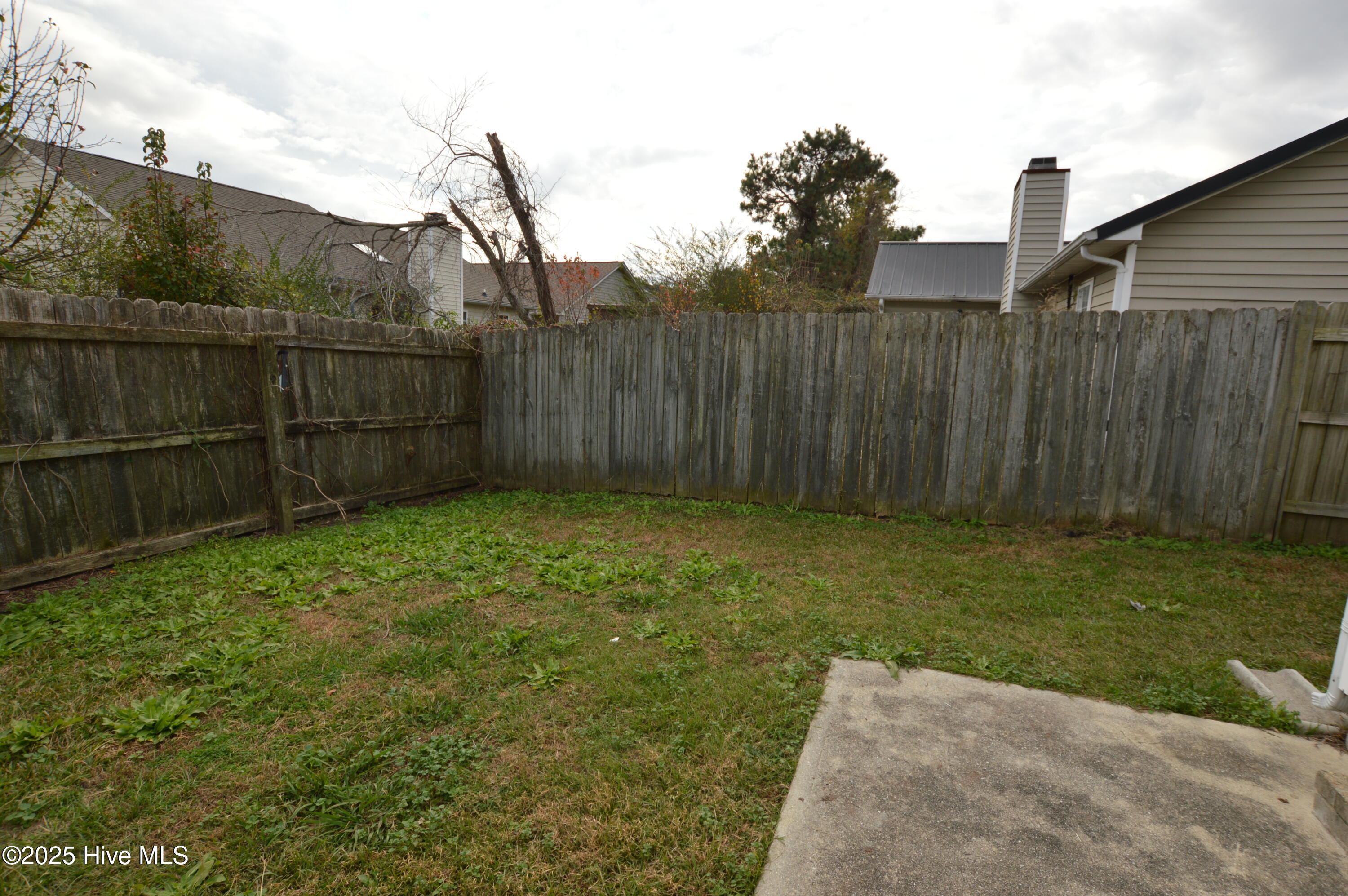 100545800 | Photo 15