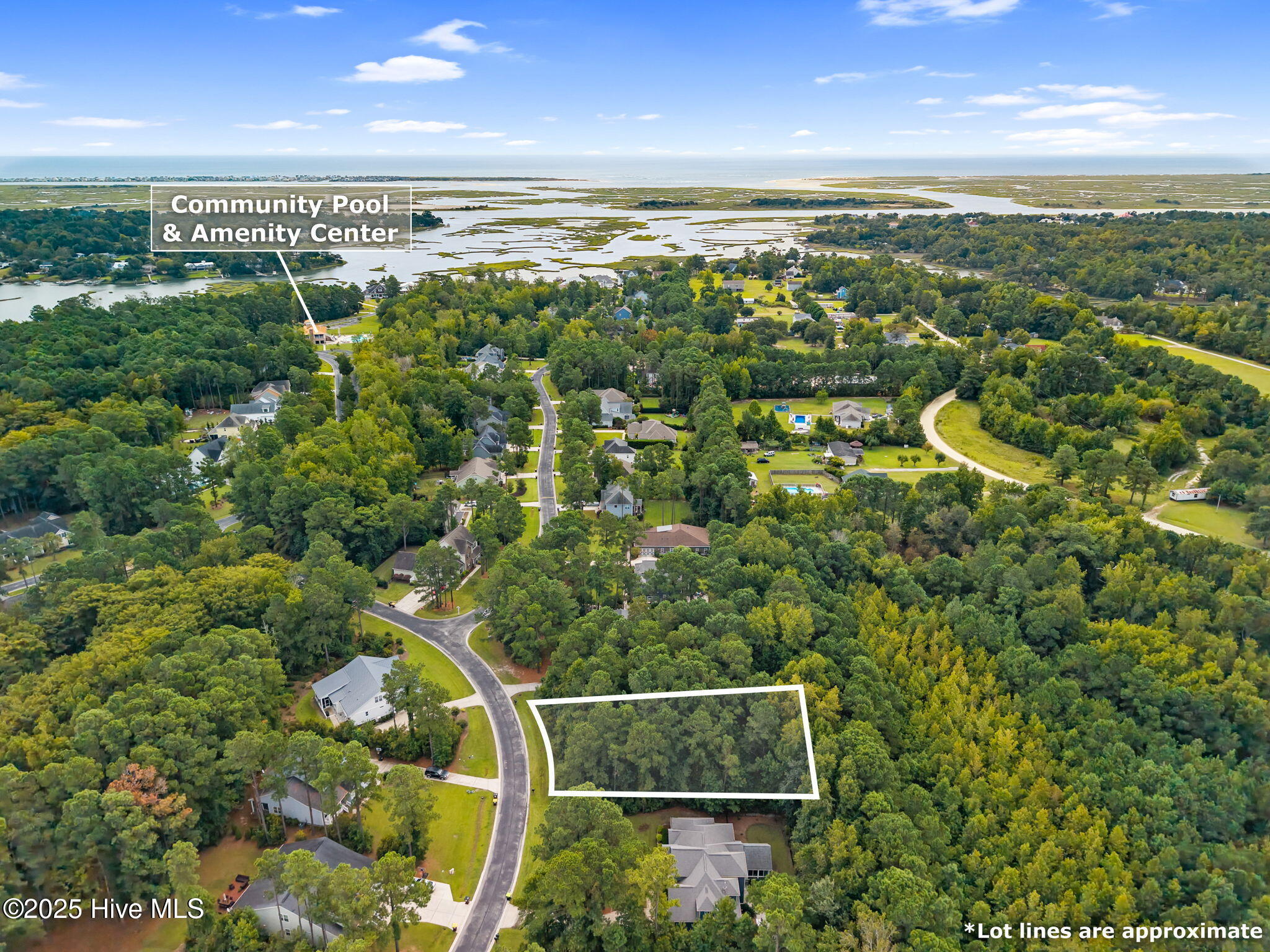 11-web-or-mls-CAMMediaLLC.com eag-11