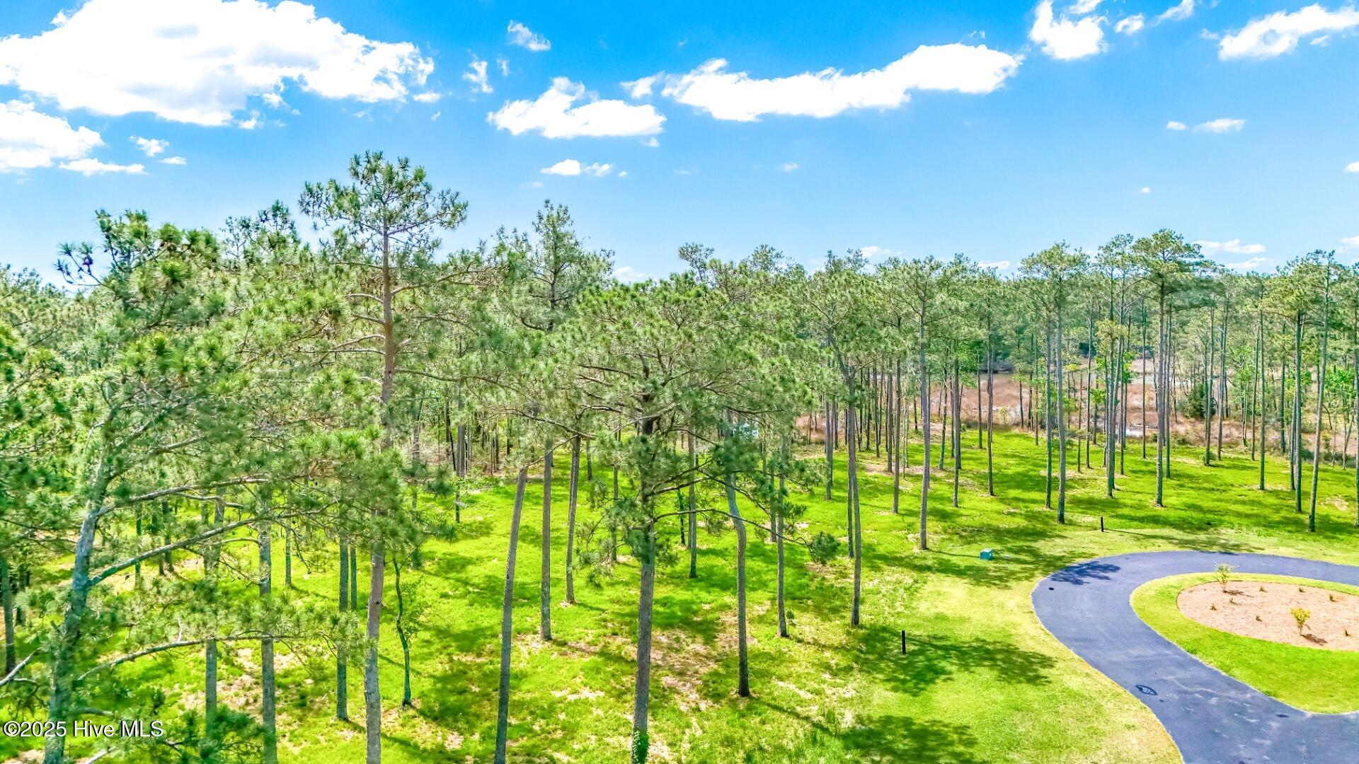 203 River Watch Road, Oriental, NC, 28571