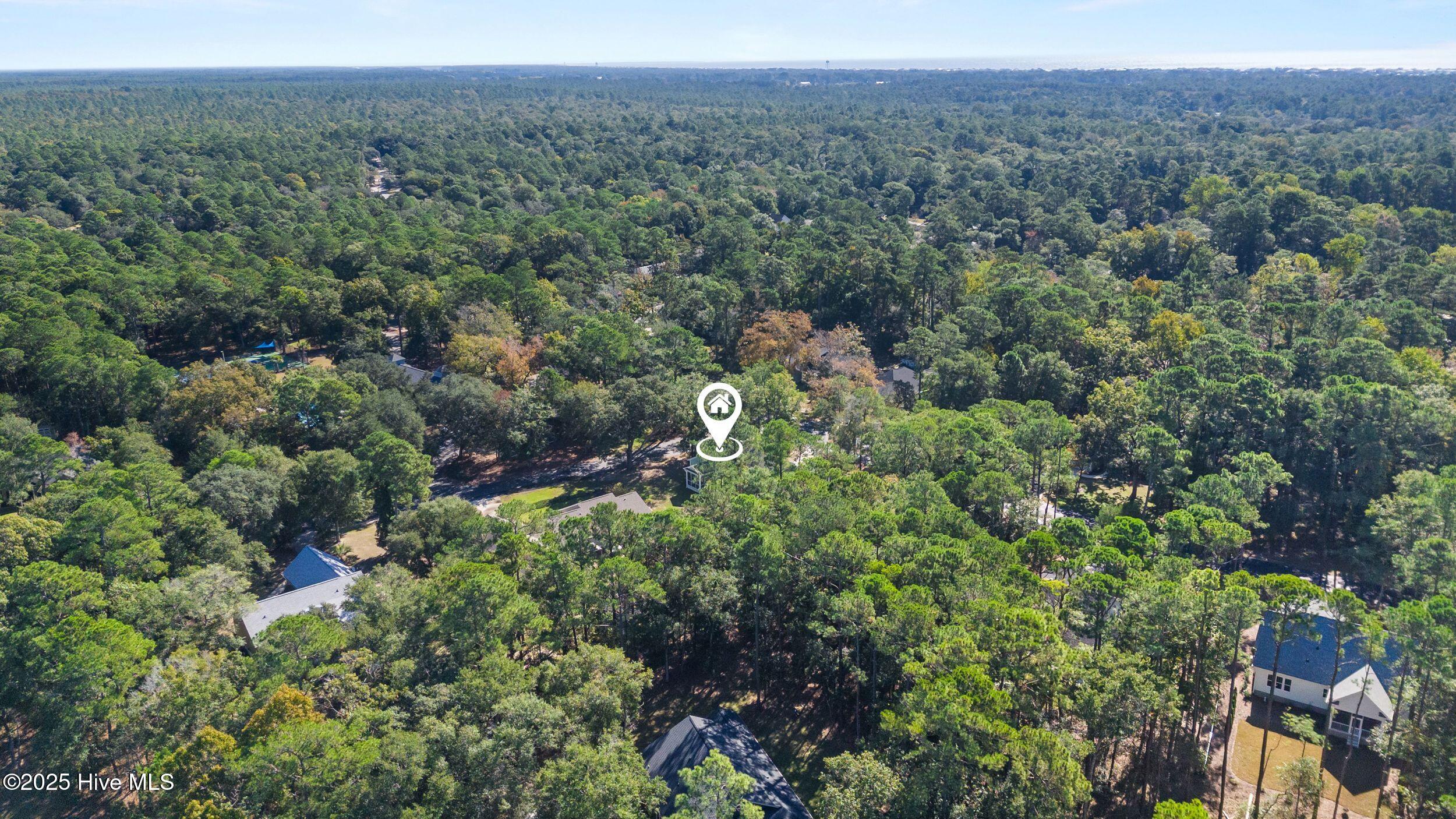 100537622 | Photo 46