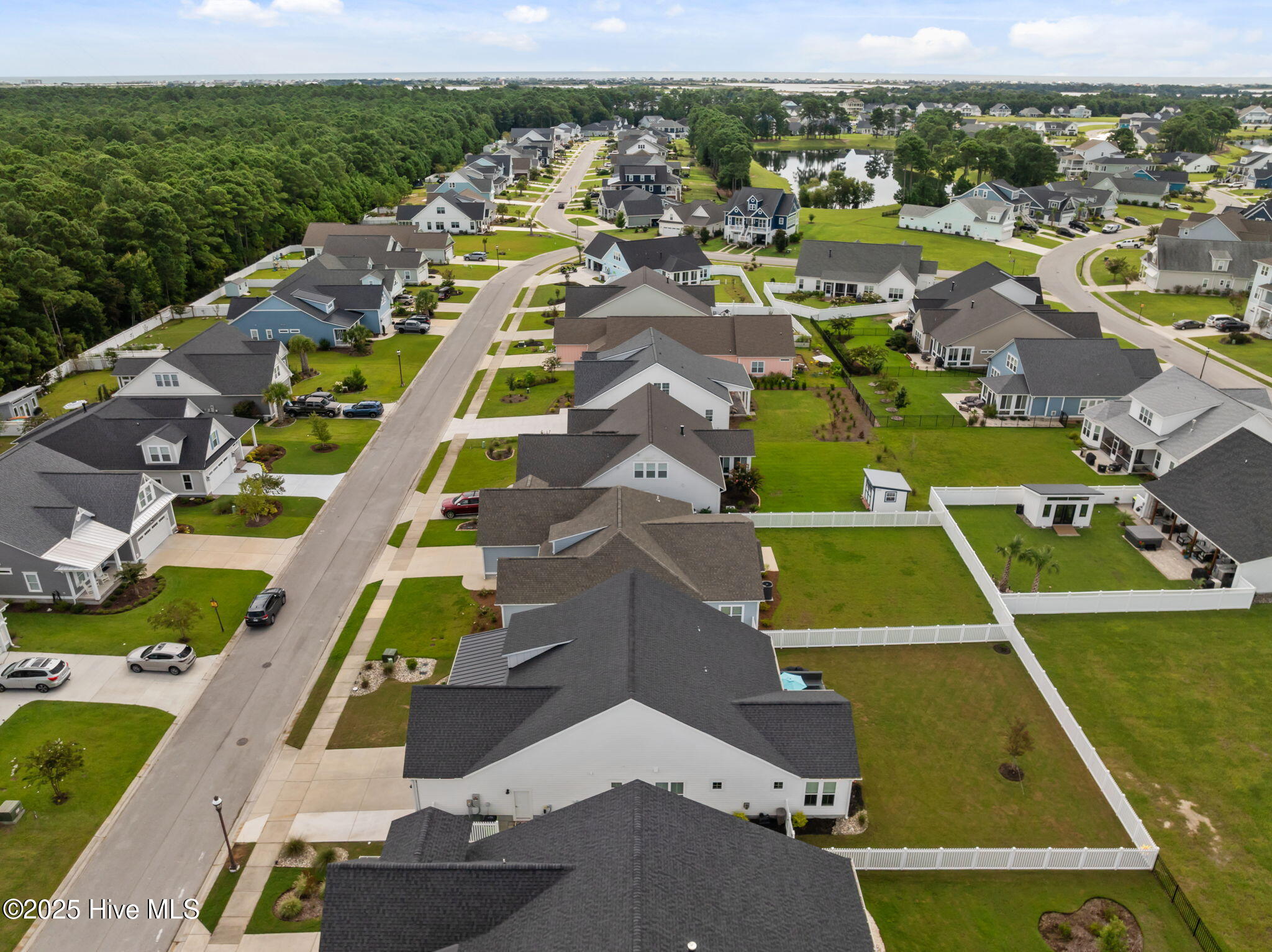 100527941 | Photo 55