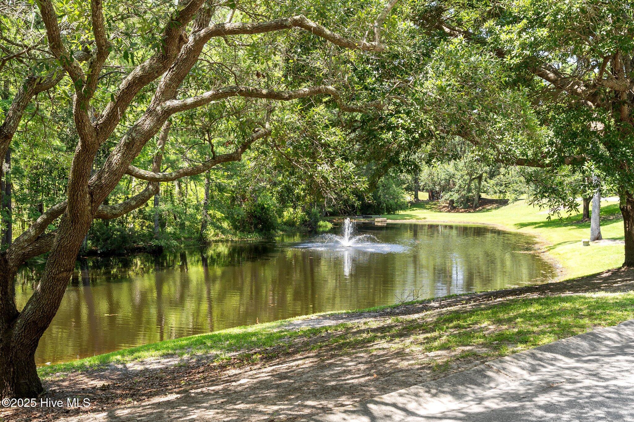 100549329 | Photo 48