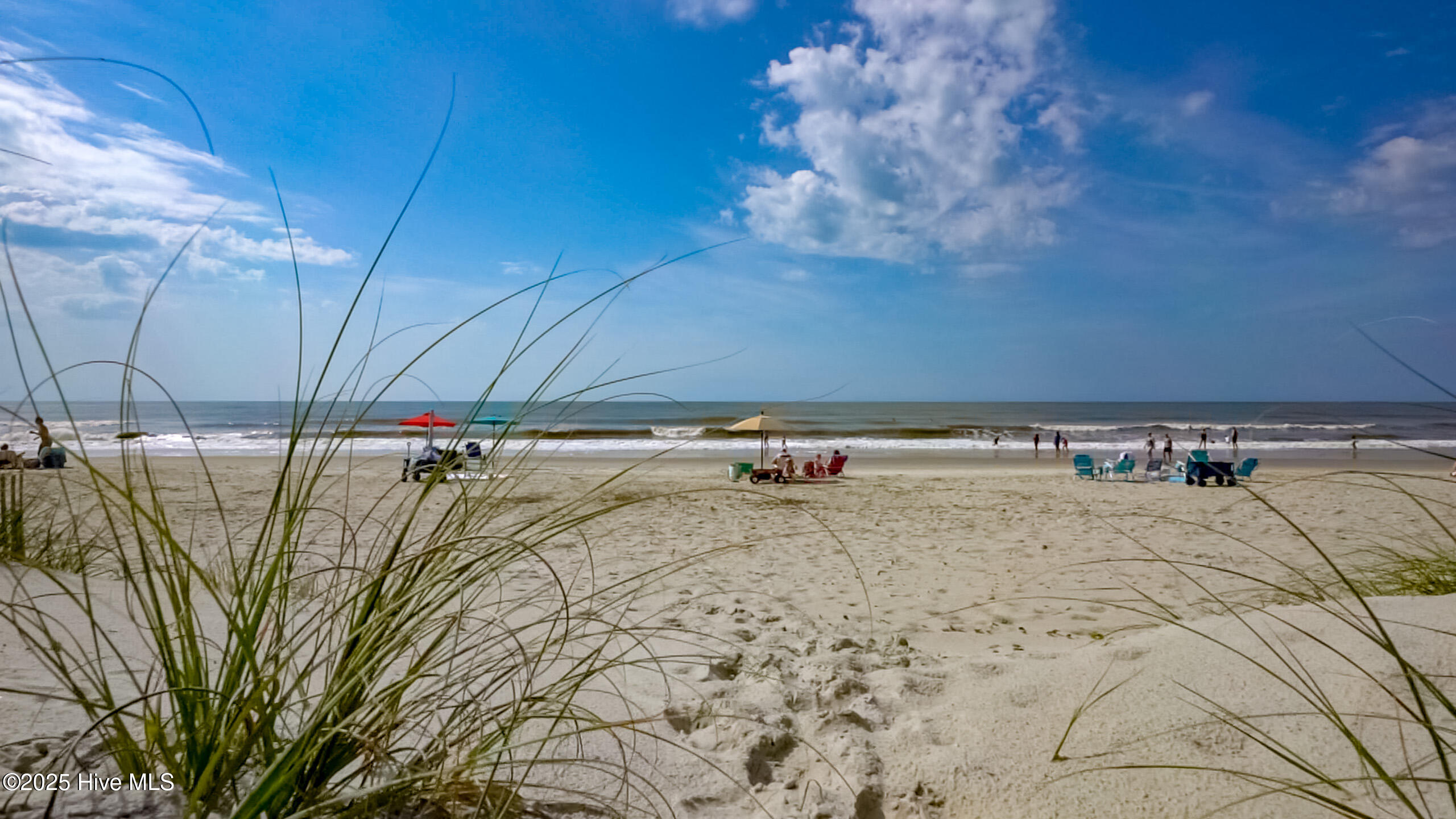 100536833 | Photo 52