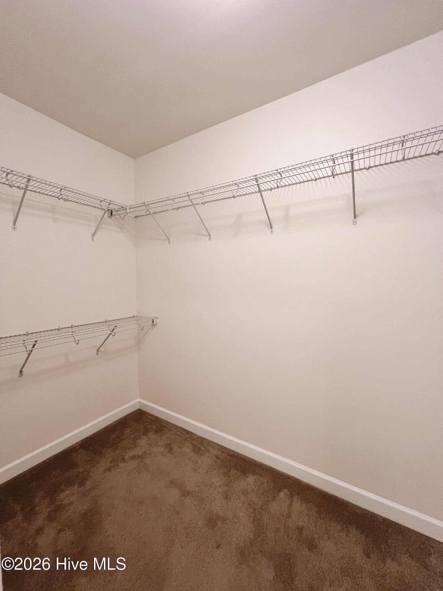 100550783 | Photo 13