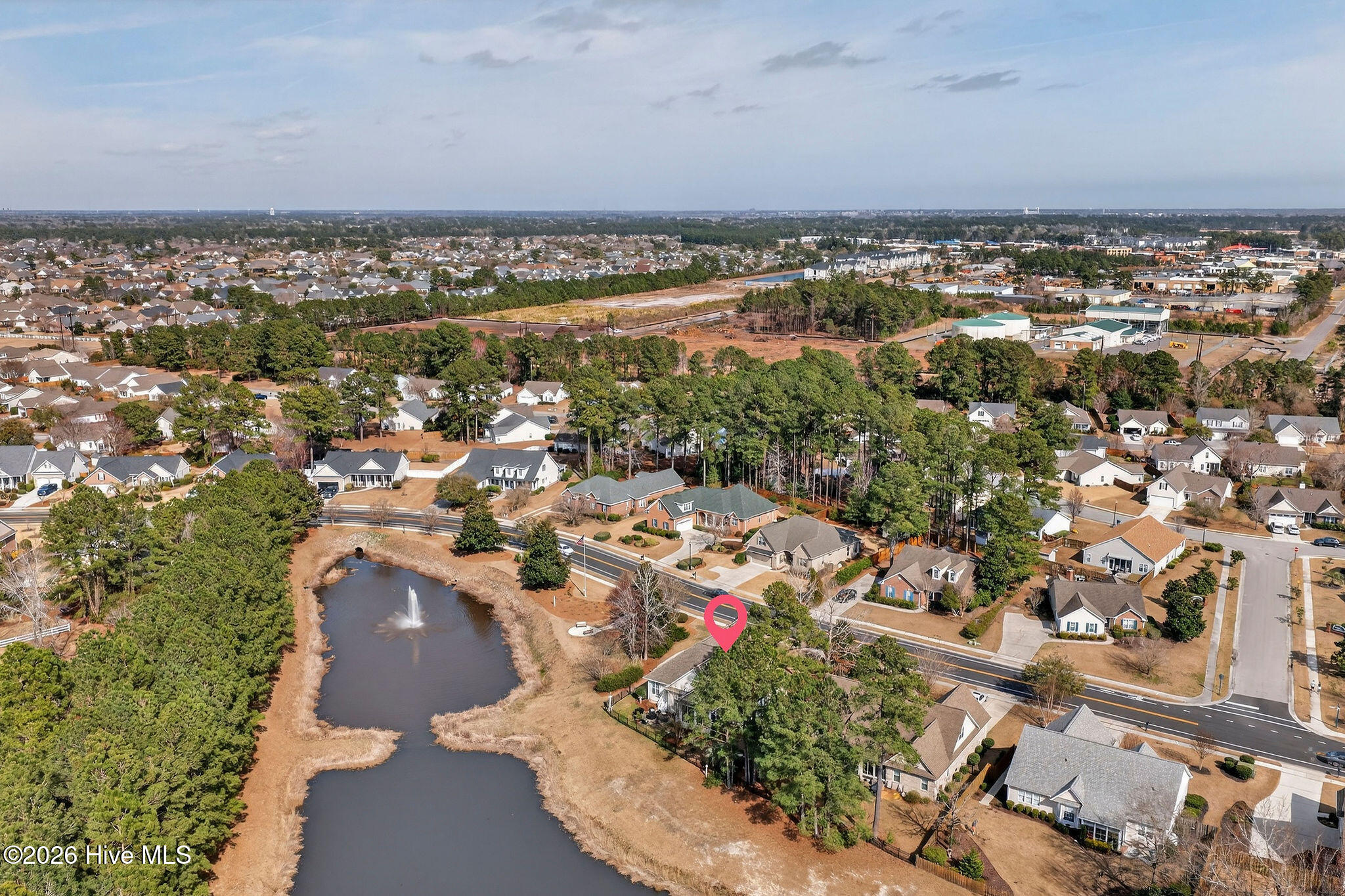 100558563 | Photo 63