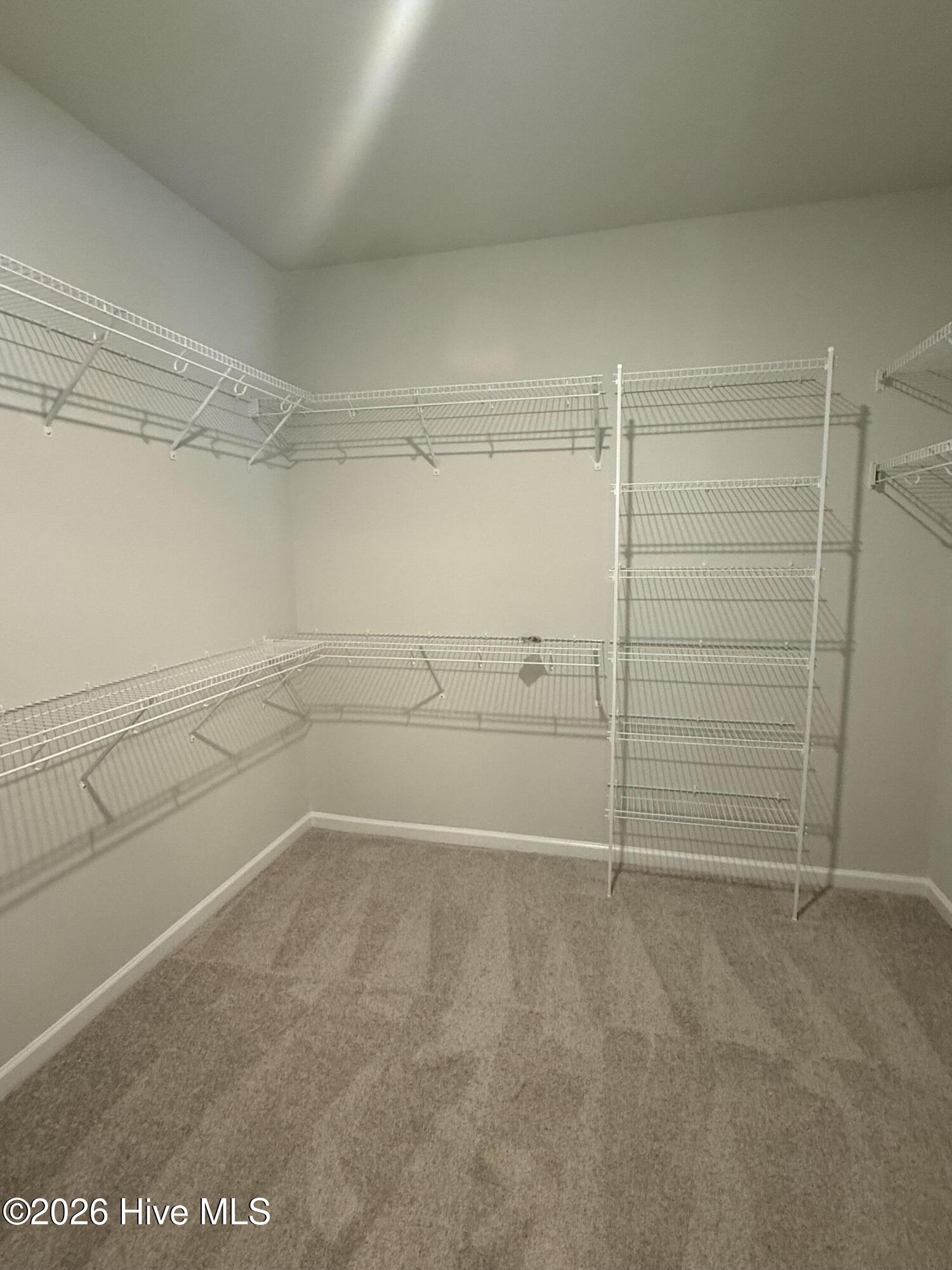 100569638 | Photo 12