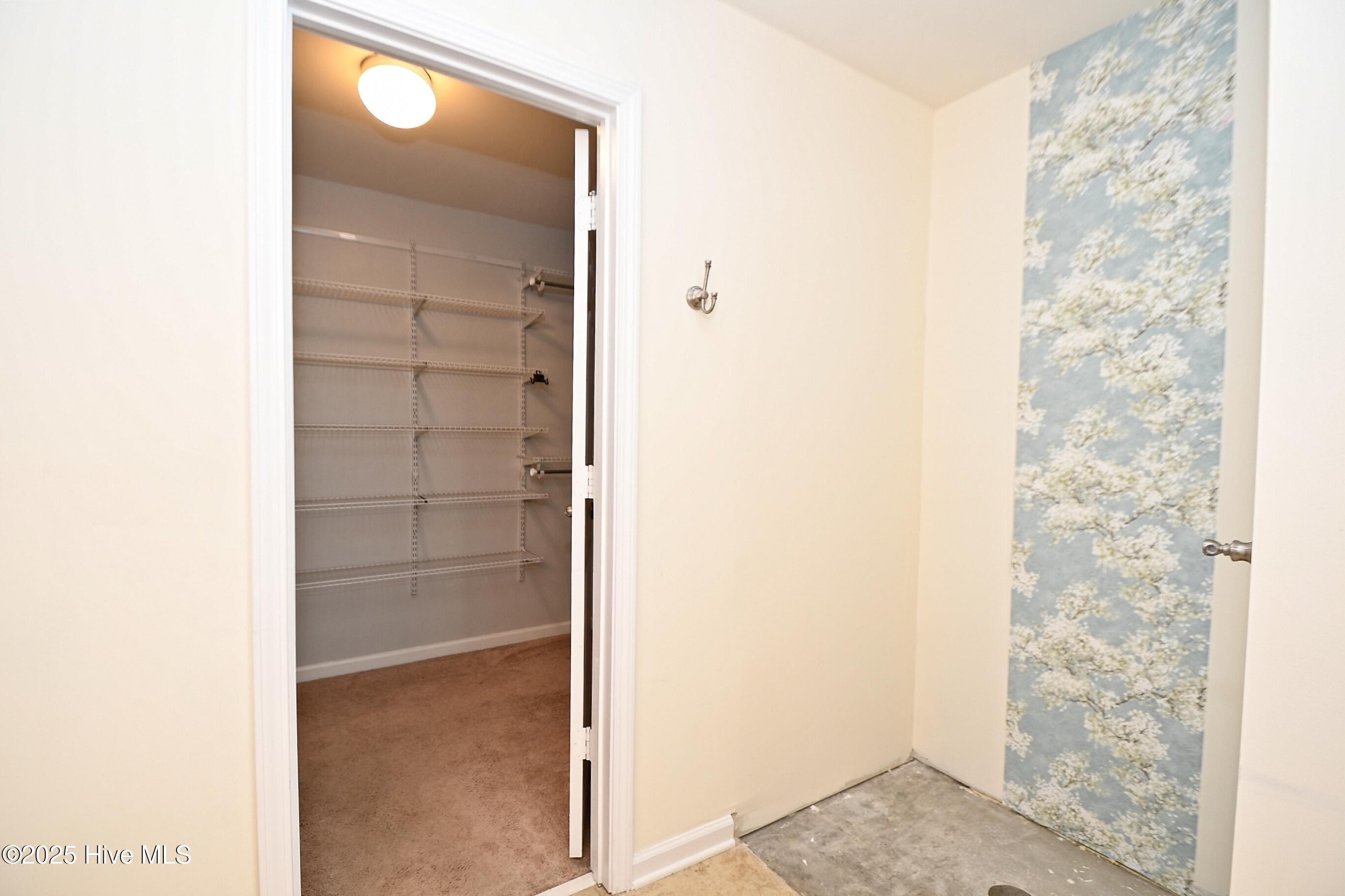 100538735 | Photo 28