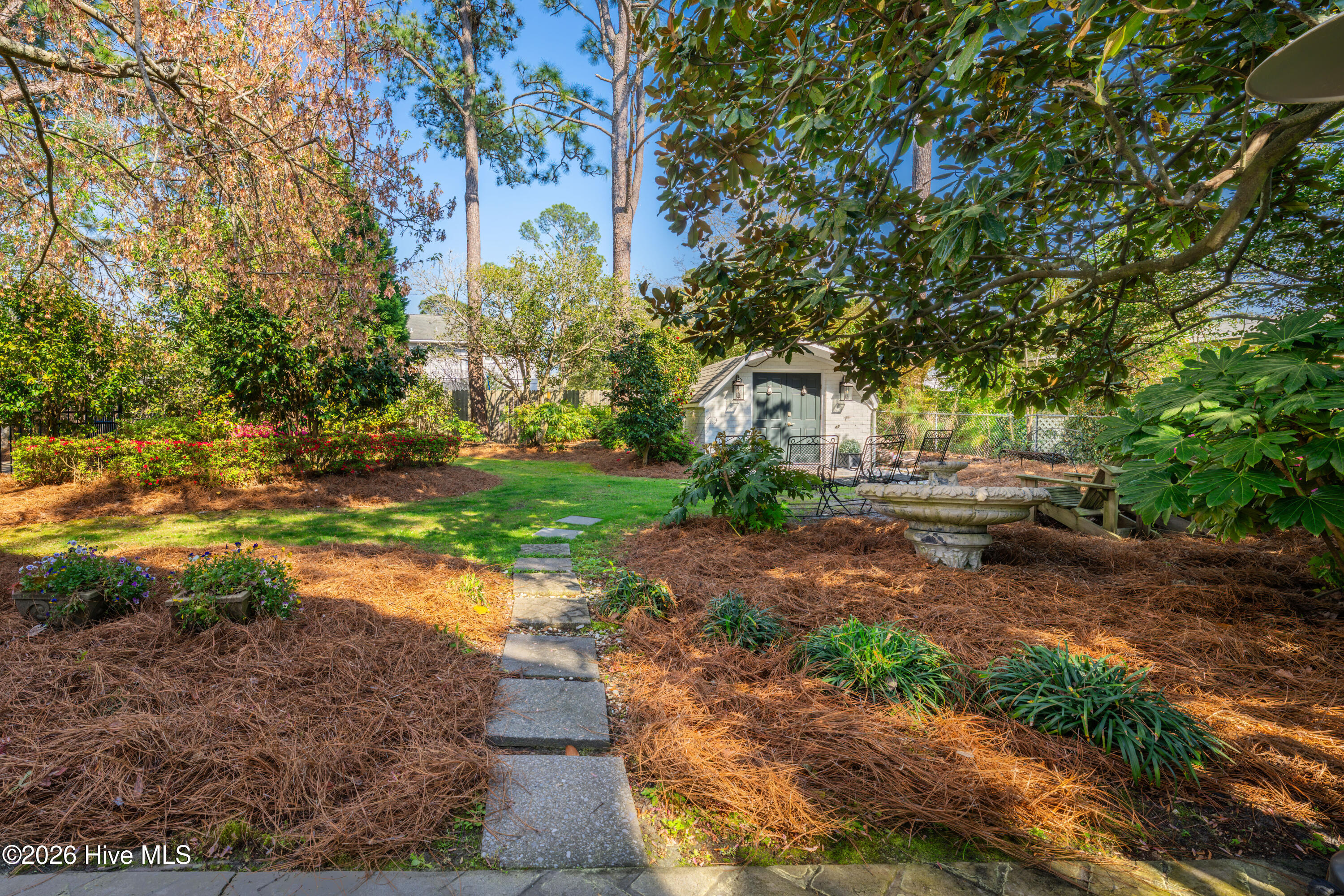 100565005 | Photo 59