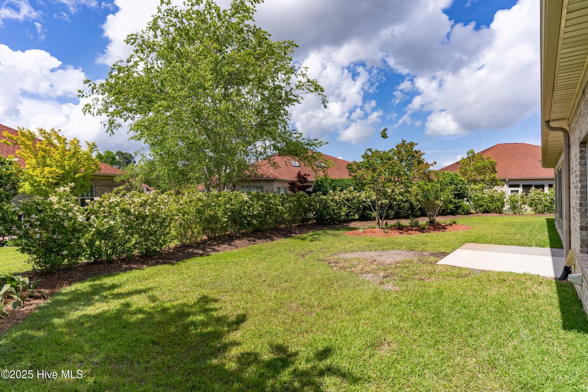 100543015 | Photo 47