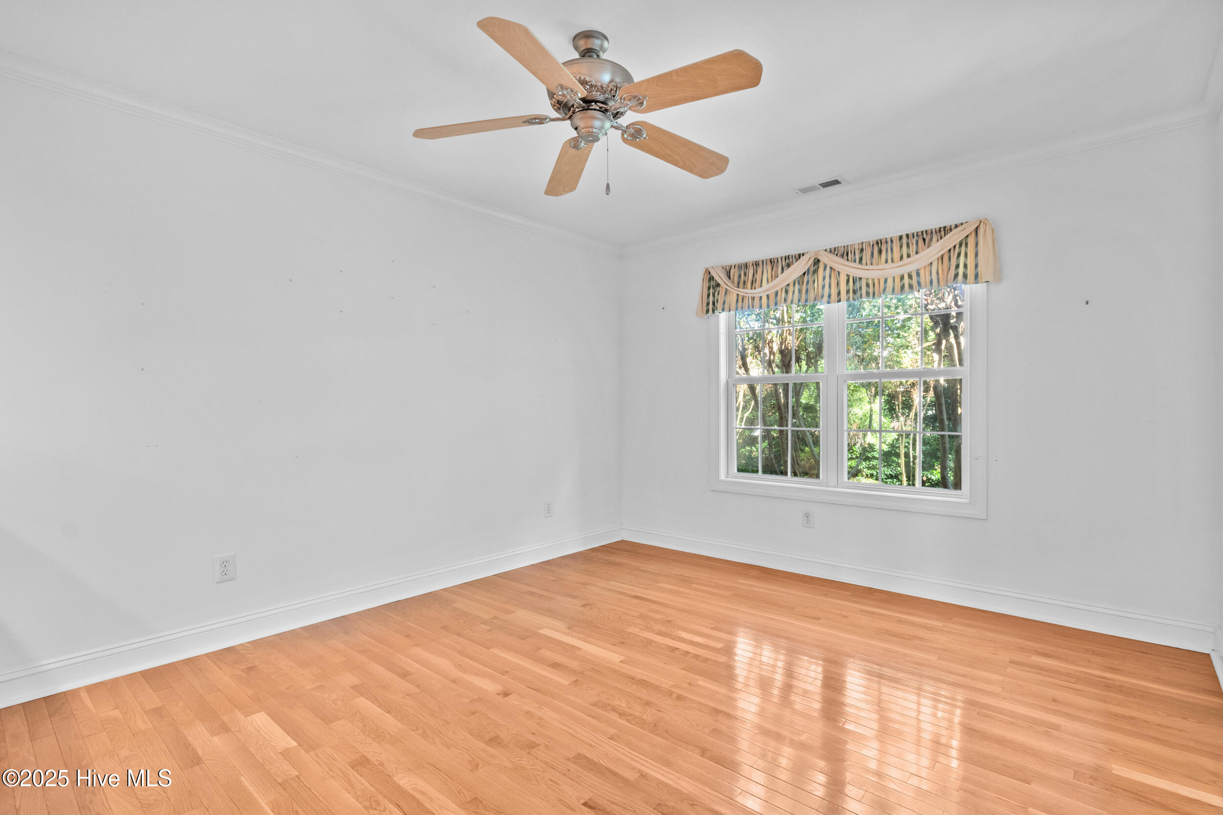 100539143 | Photo 13