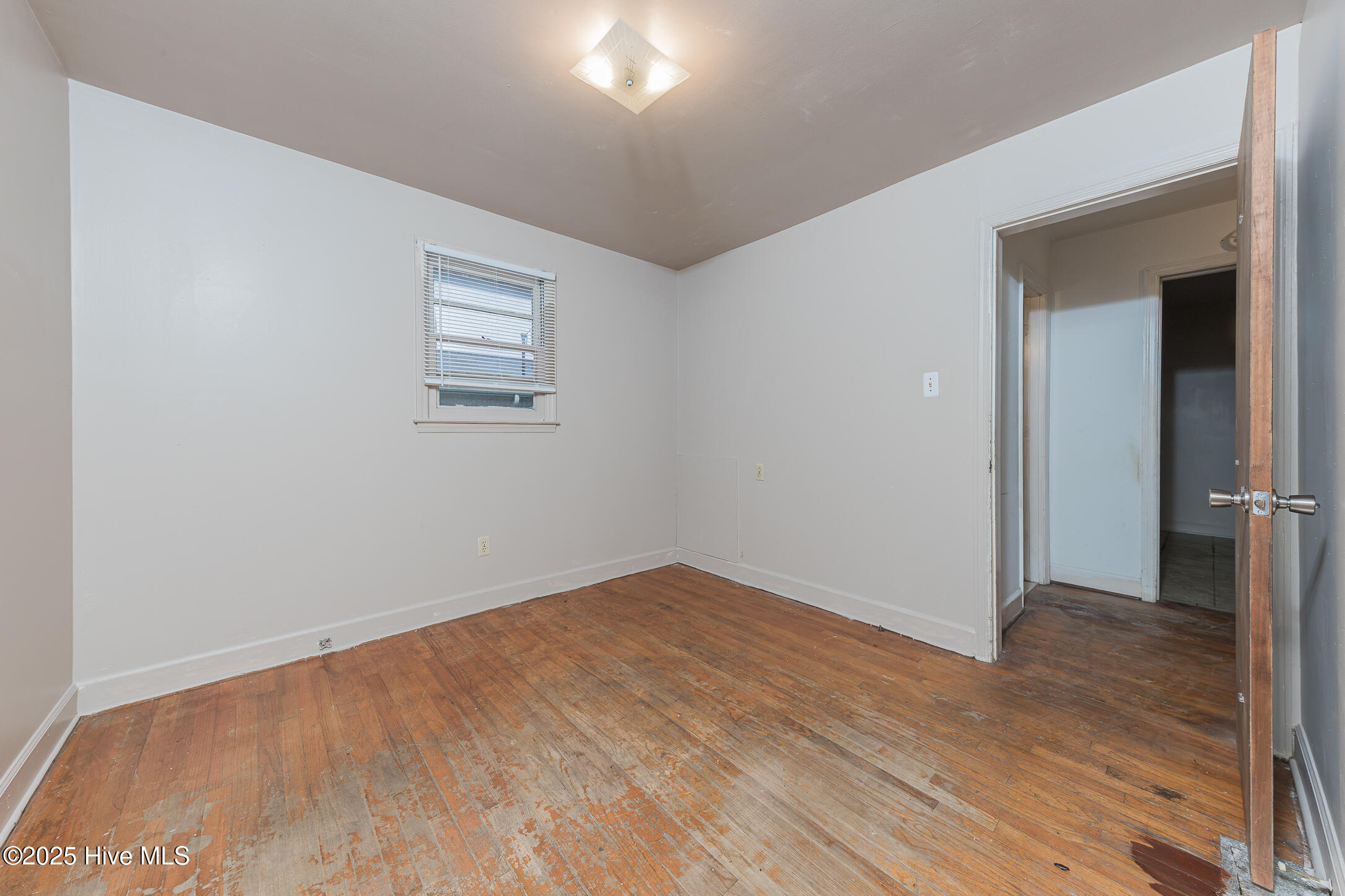 100523491 | Photo 29