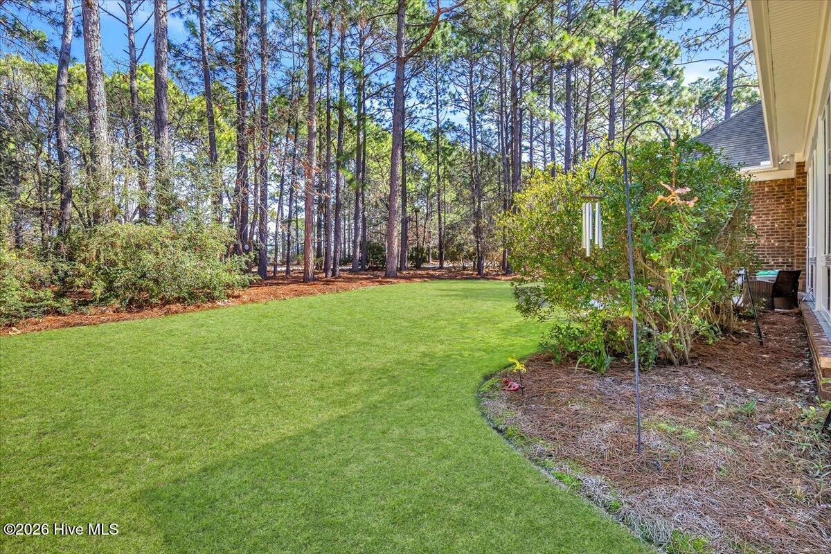 100556407 | Photo 66