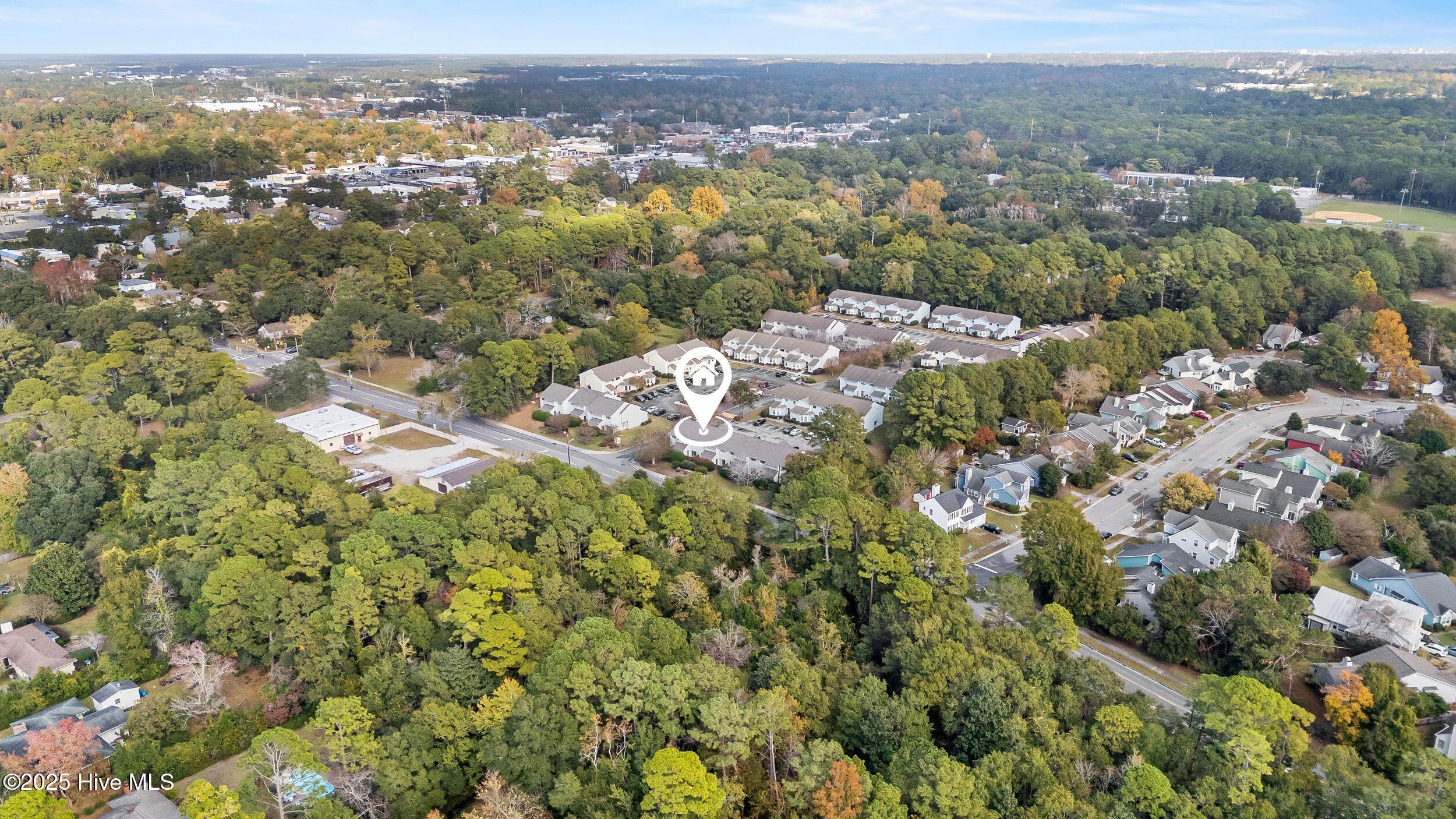 100540699 | Photo 41