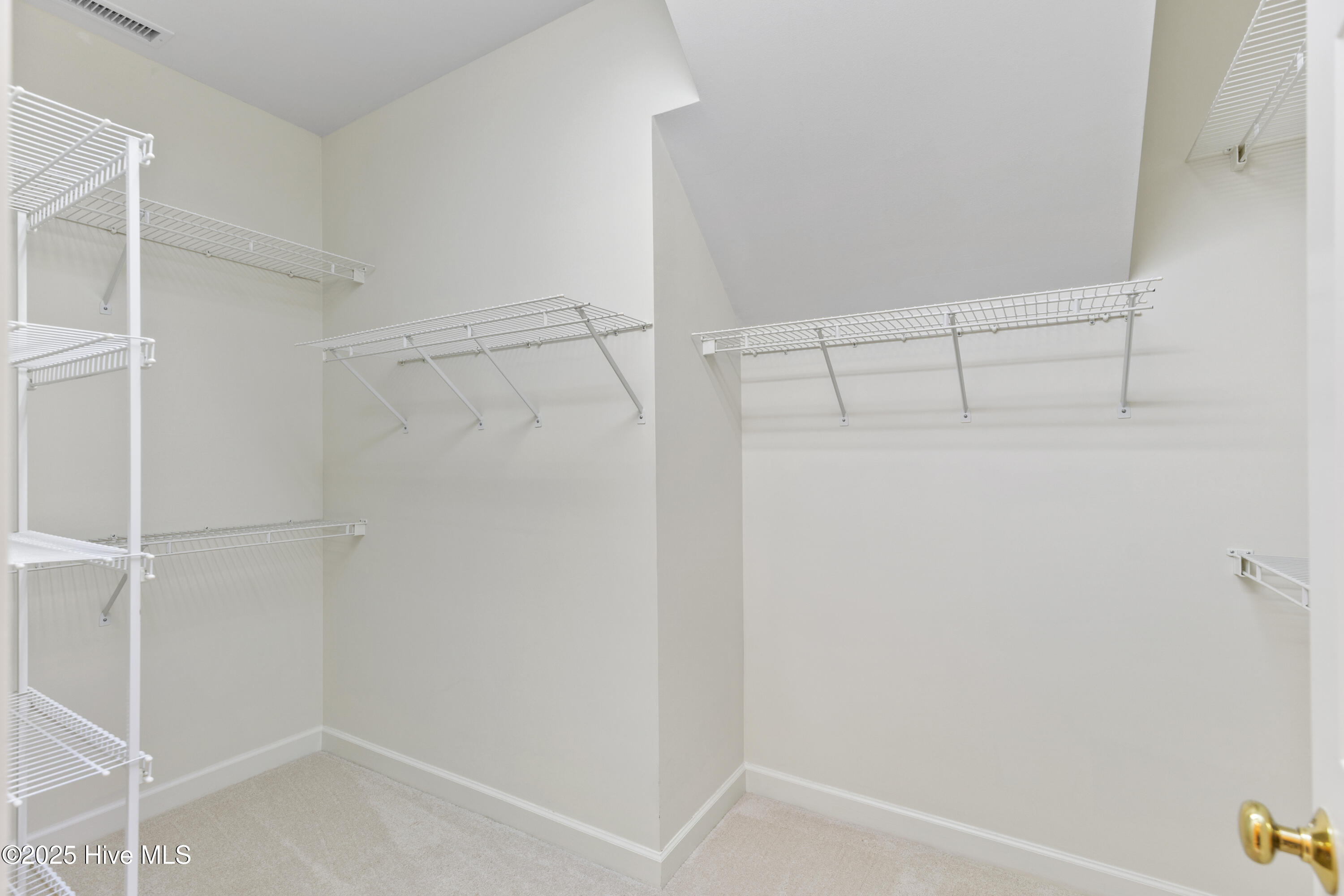 100539771 | Photo 10