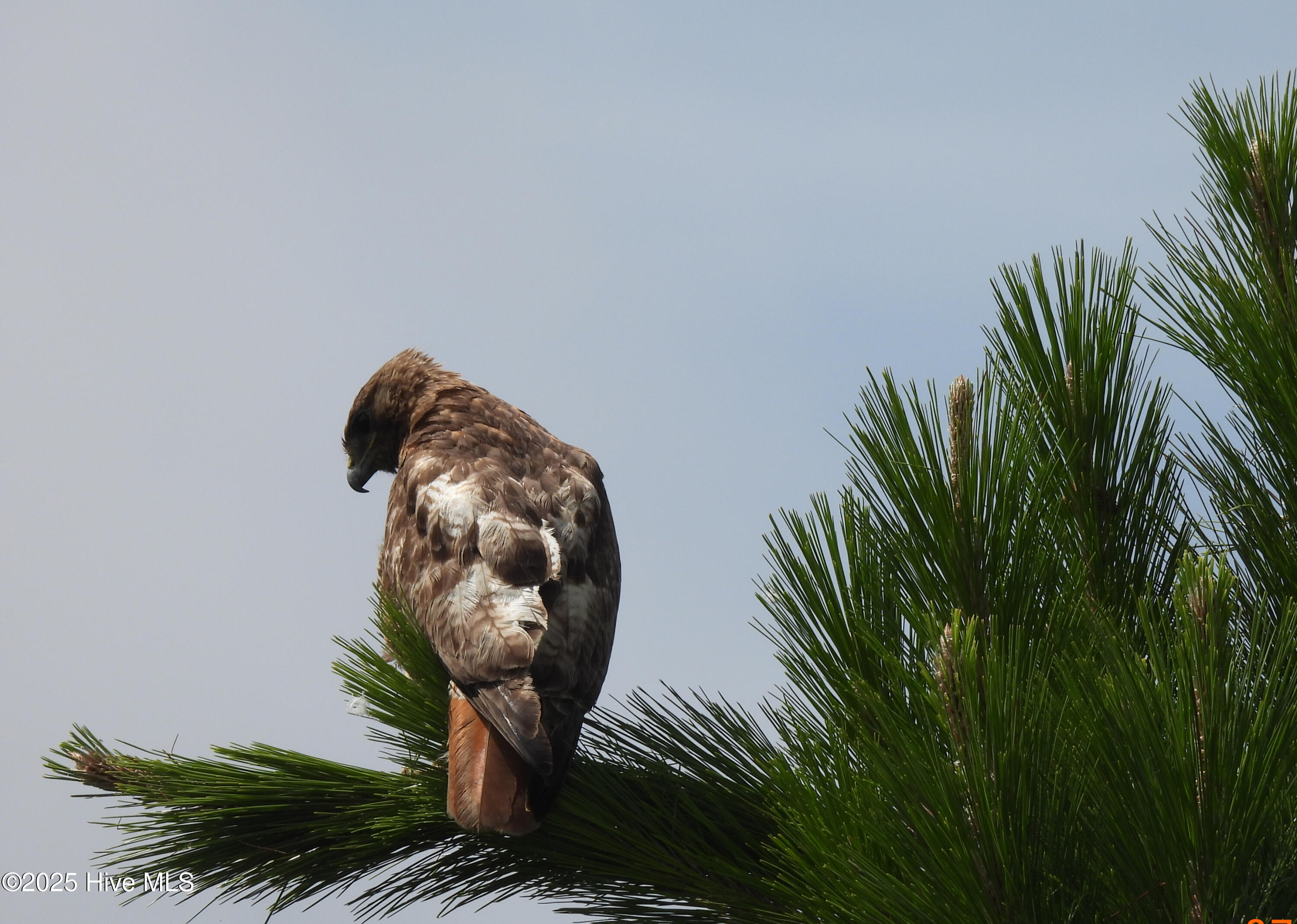 100503609 | Photo 17