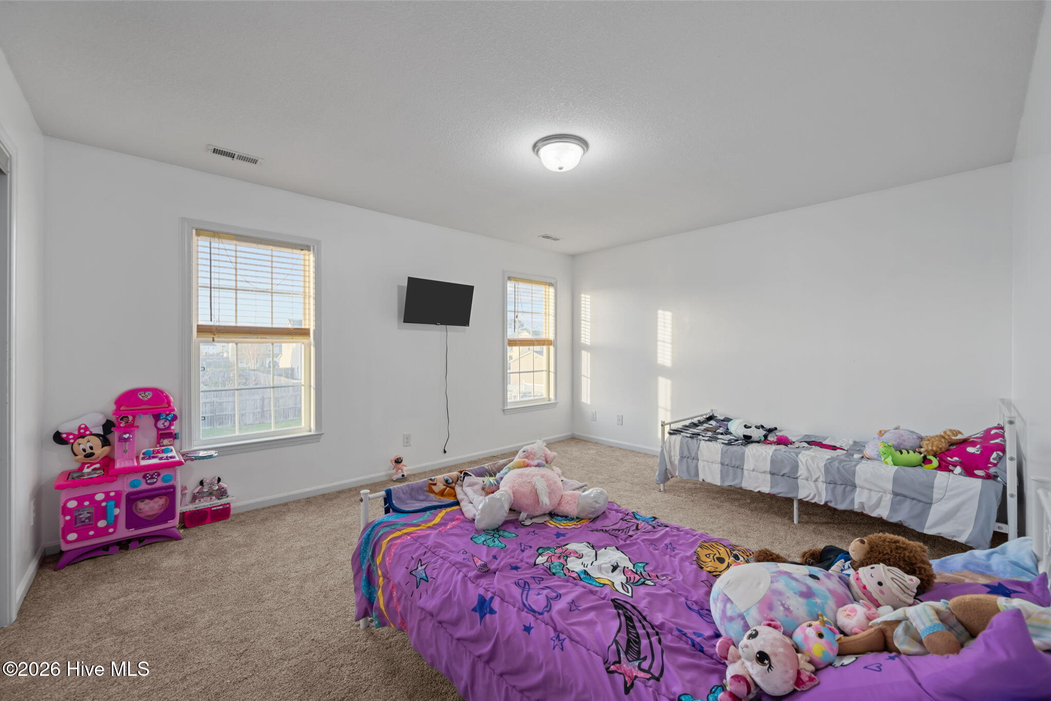 100560340 | Photo 34