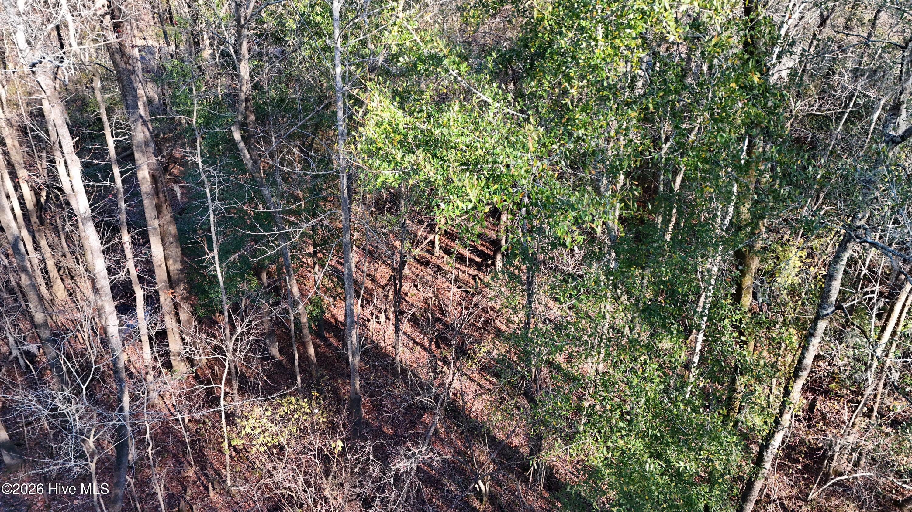 100556794 | Photo 19