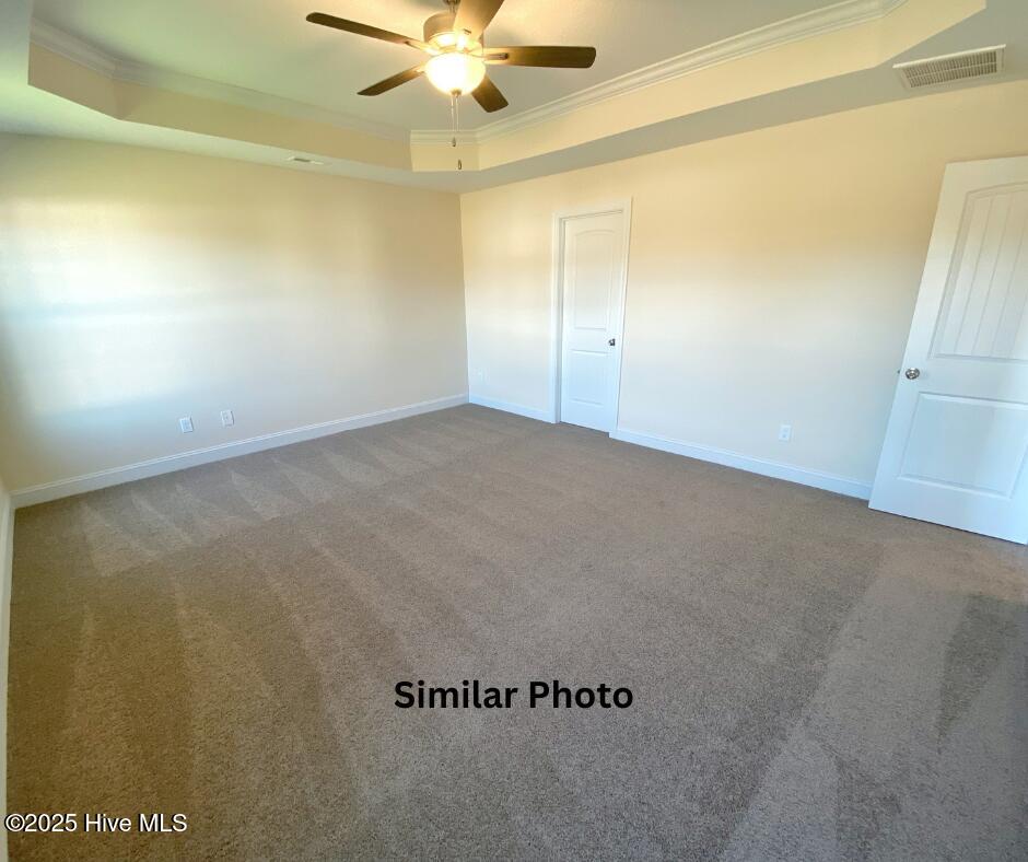 100525578 | Photo 20