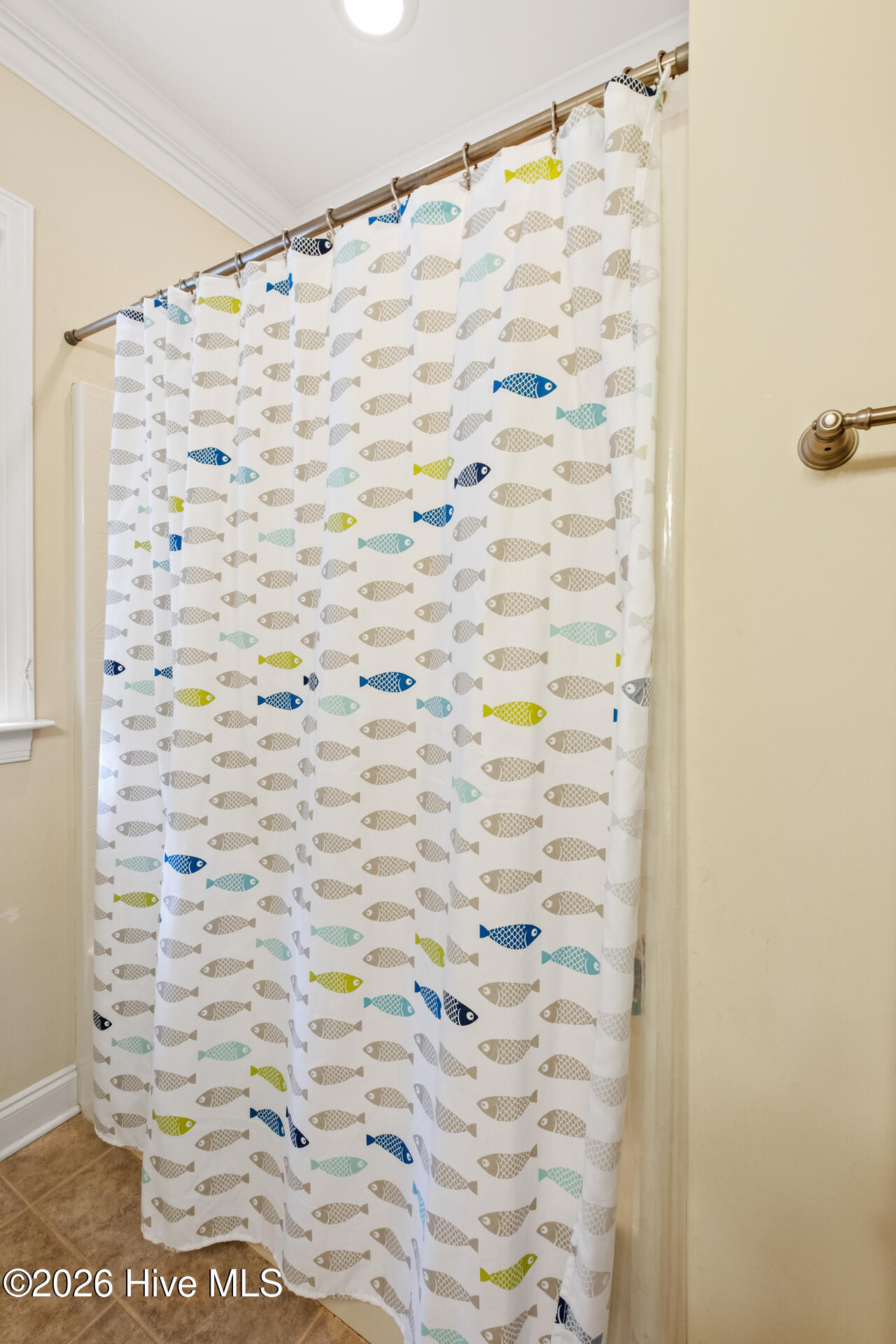 100554088 | Photo 37