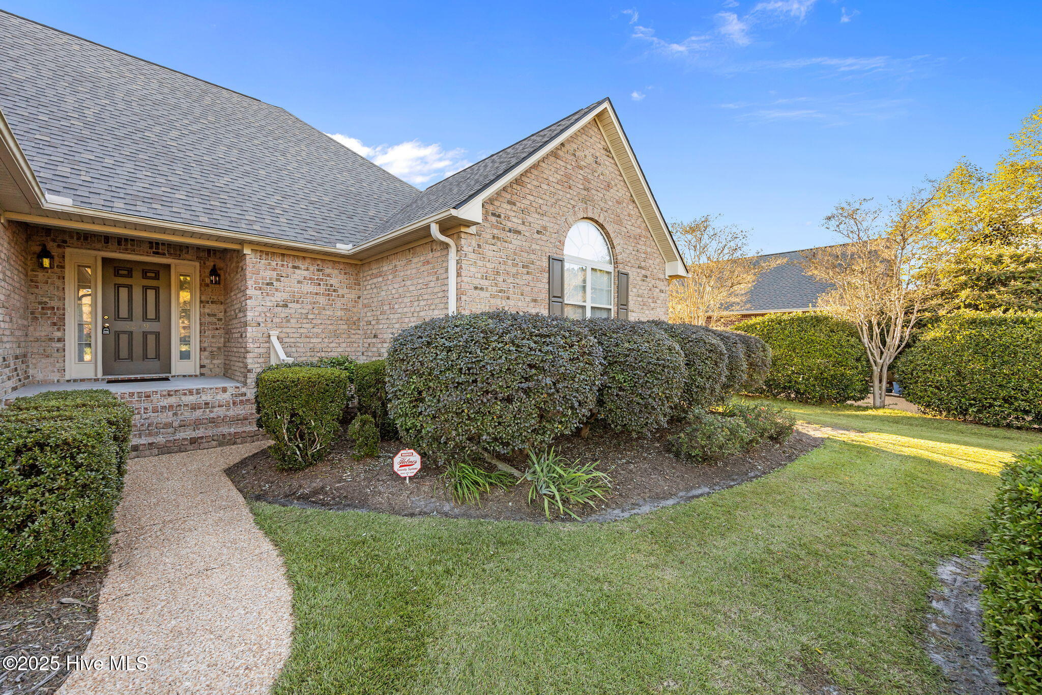 100515832 | Photo 10