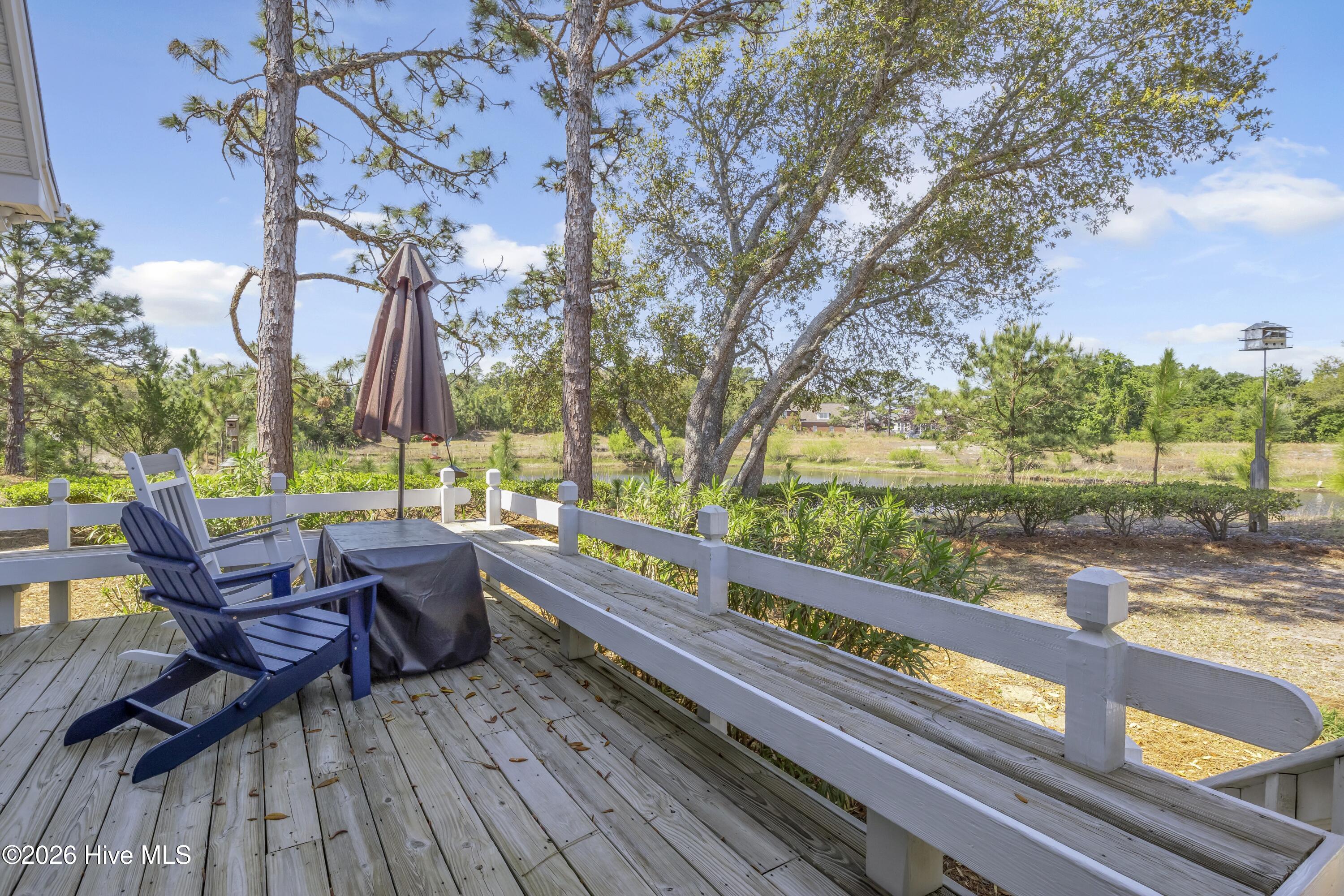 100566160 | Photo 39