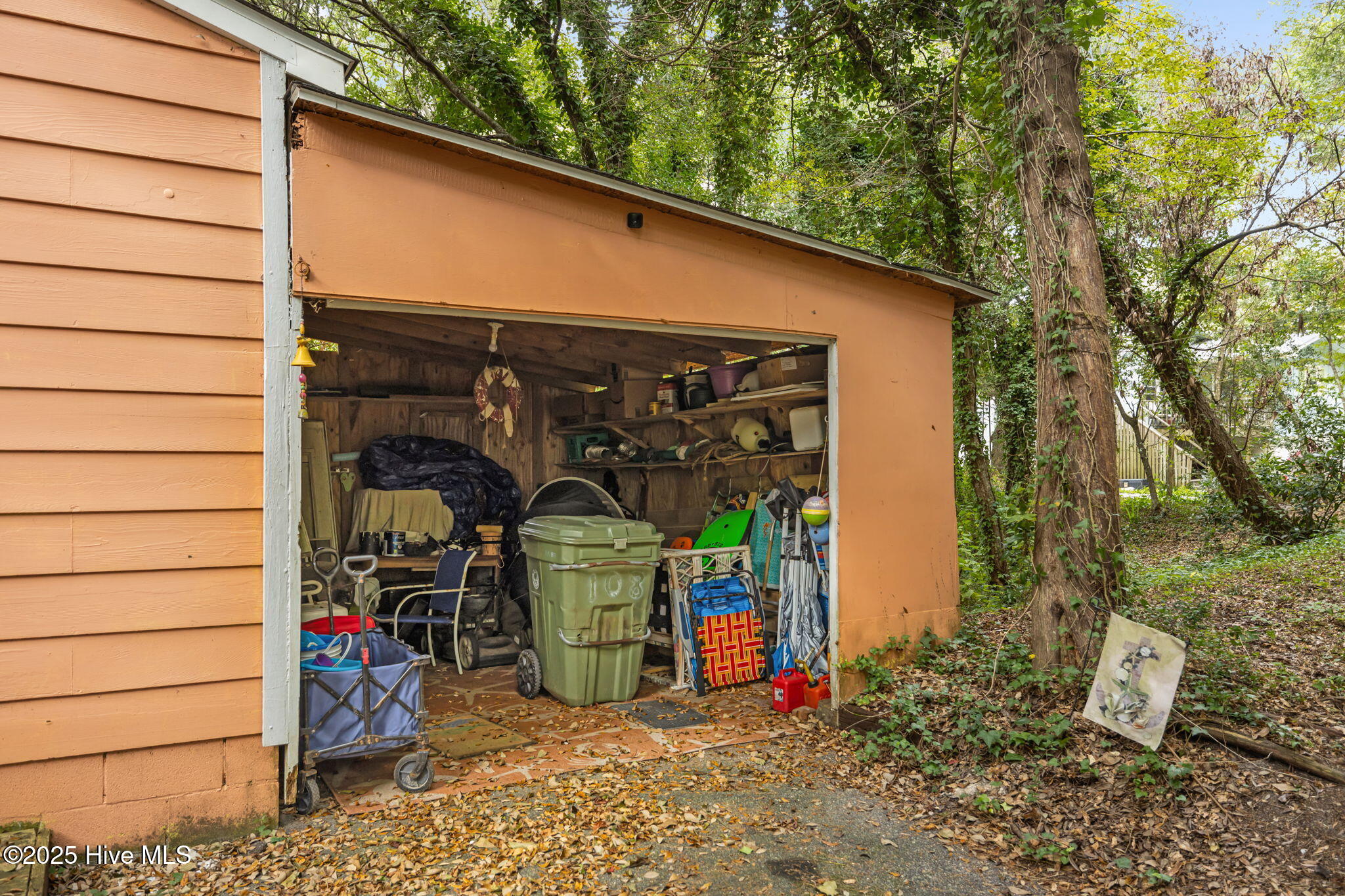 100535776 | Photo 40