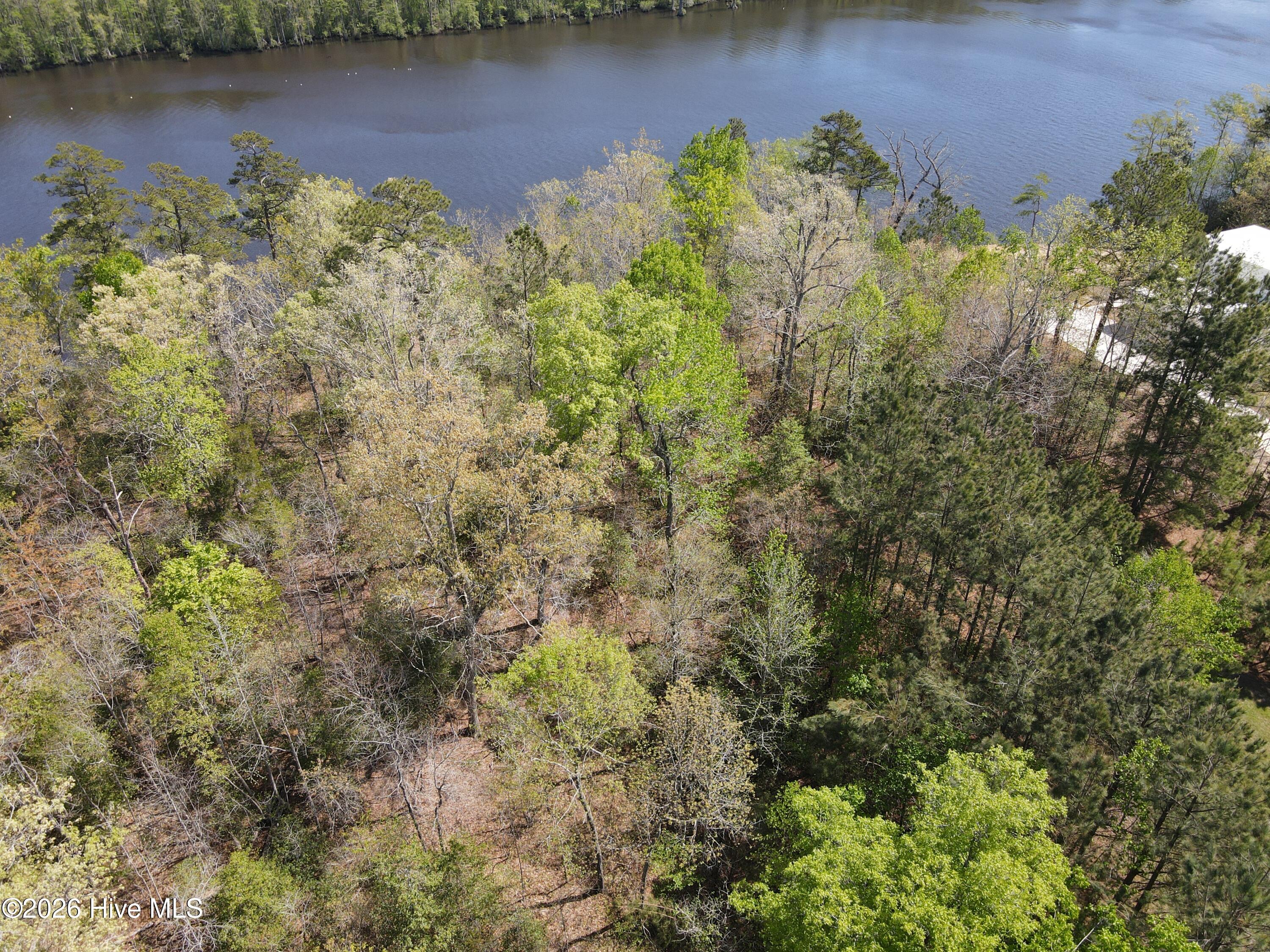 Lot 13 River Bluff, Winton, North Carolina, 0 ,Residential Lot,For sale,River Bluff,100492253 Lot 13 River Bluff, Winton, North Carolina, 0 ,Residential Lot,For sale,River Bluff,100492253