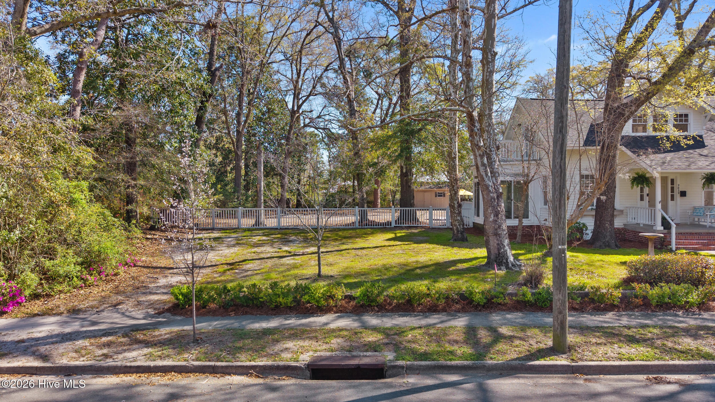 100562398 | Photo 46