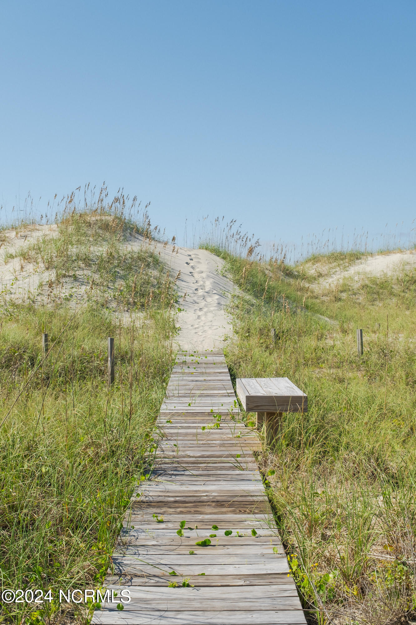 100523176 | Photo 43