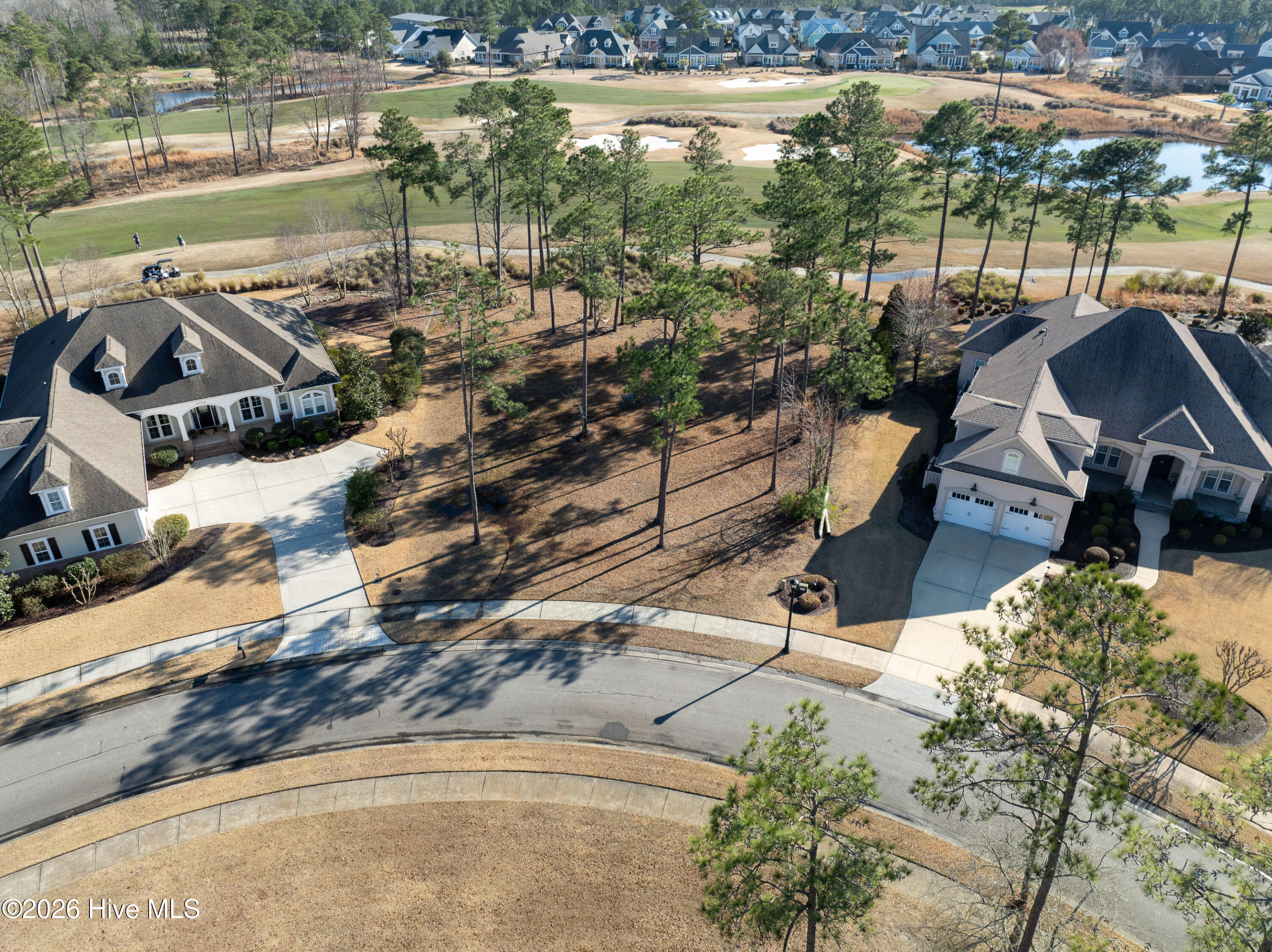 100557146 | Photo 20