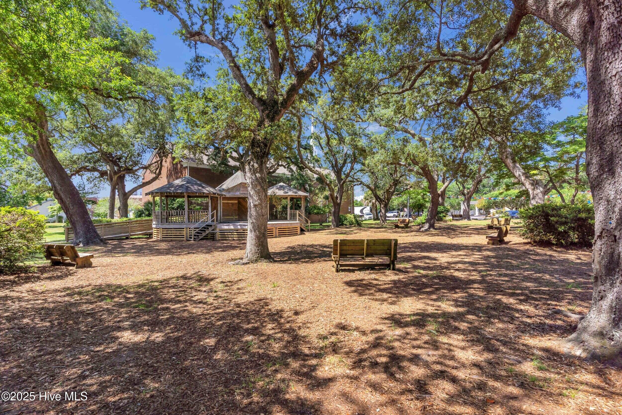 100516979 | Photo 37