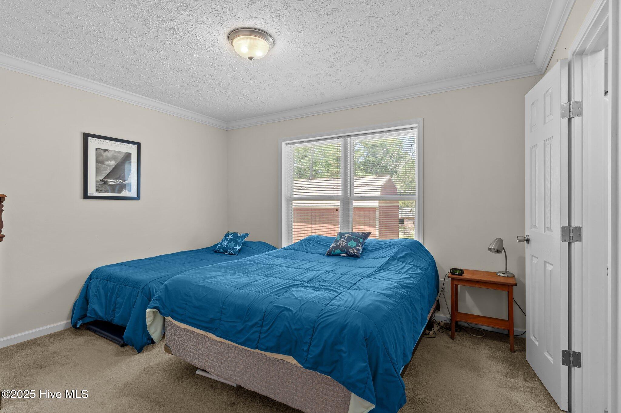 100509442 | Photo 20