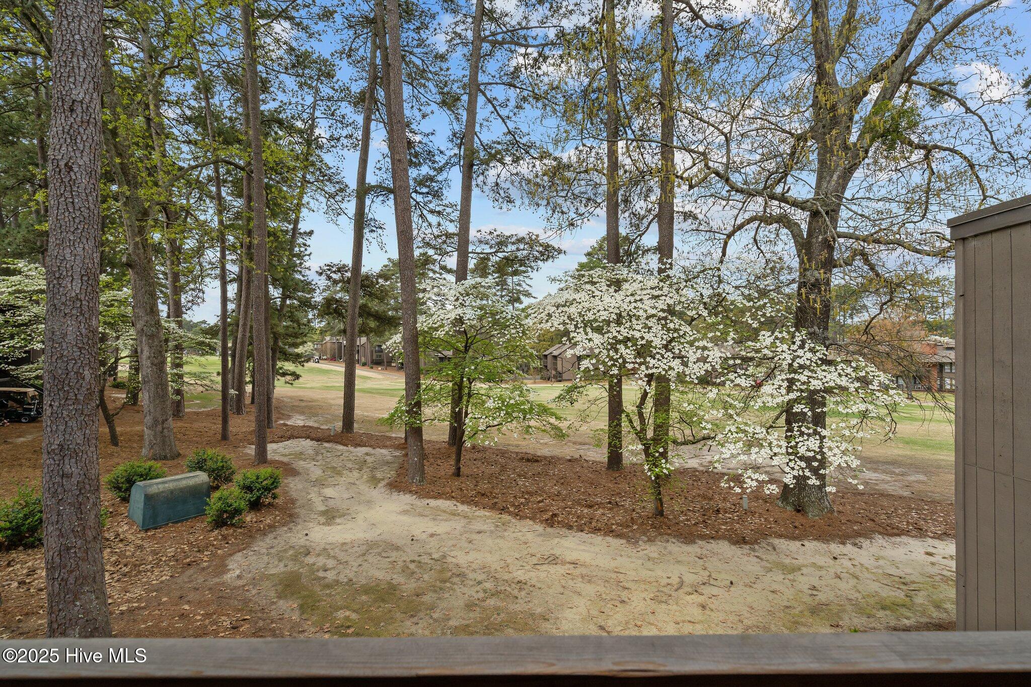 5 Pine Tree Road 211